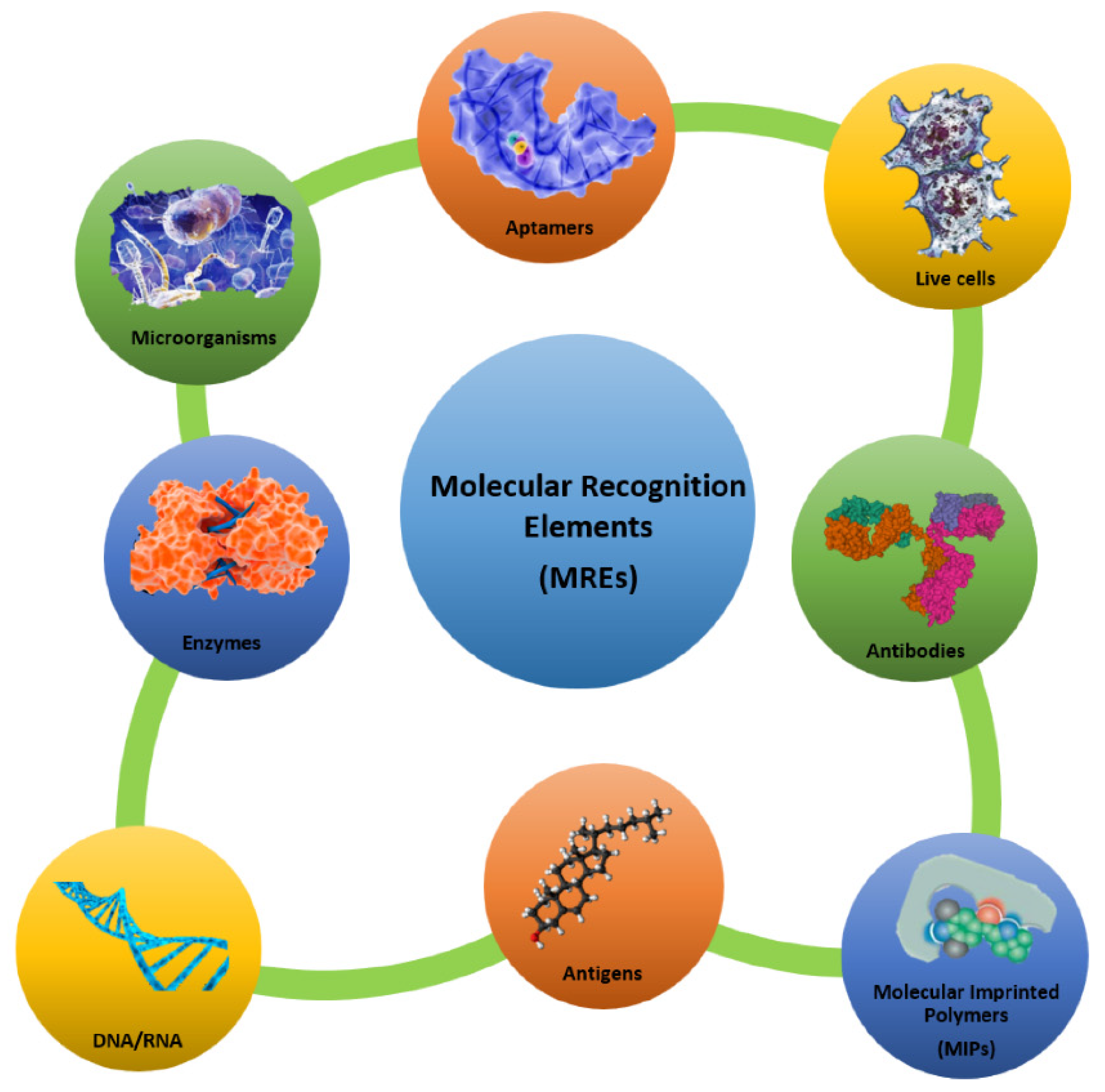 Sensors 21 00906 g002