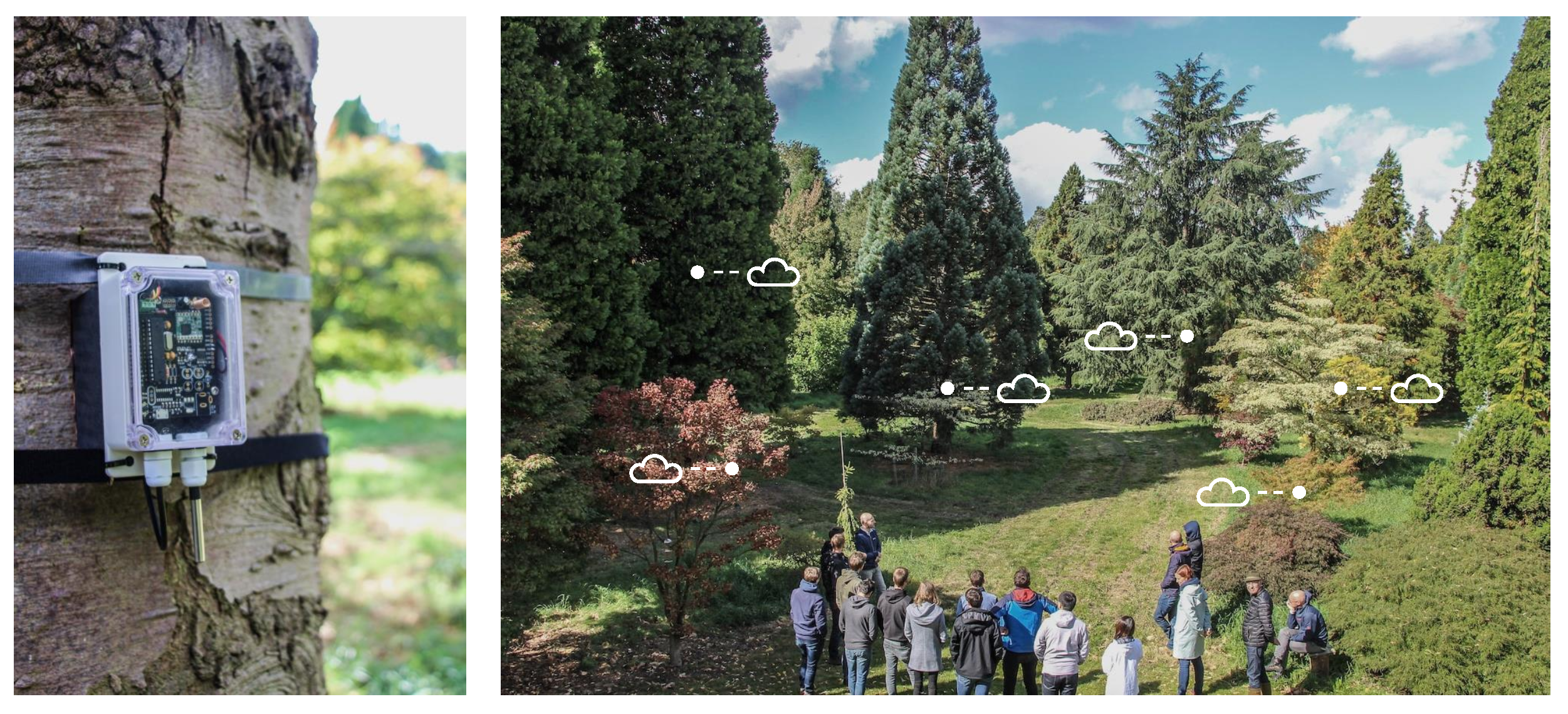 Sensors 21 00913 g001