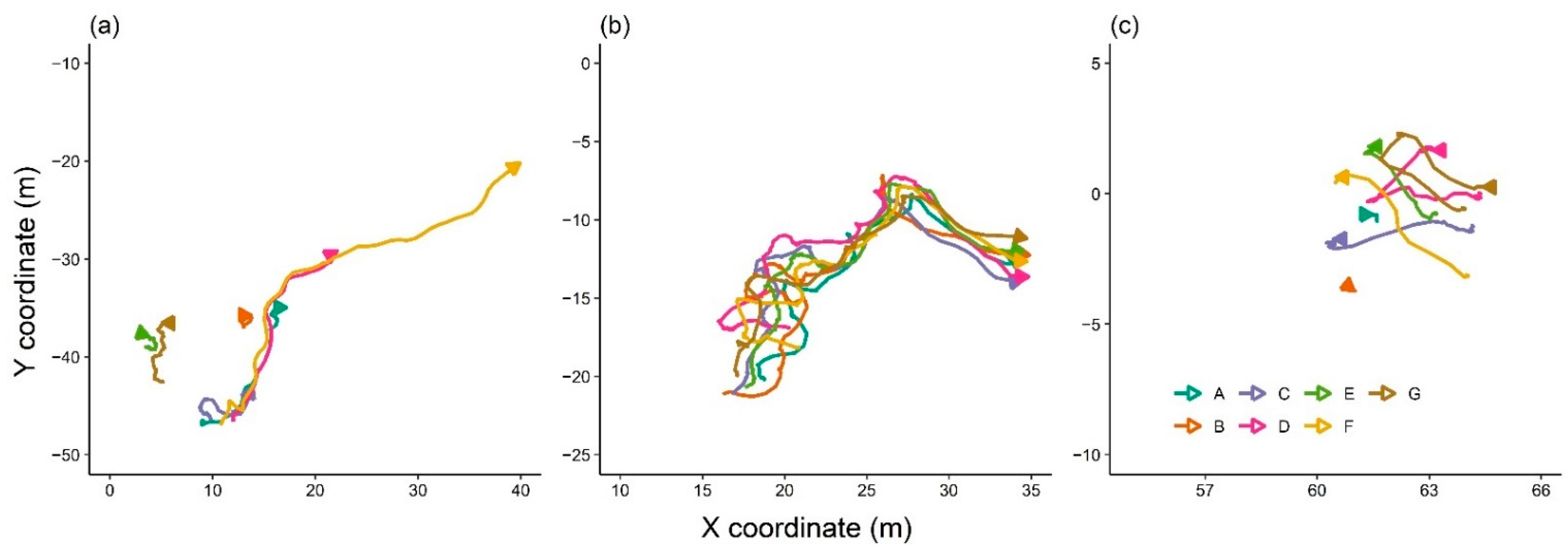 Sensors 21 00924 g005