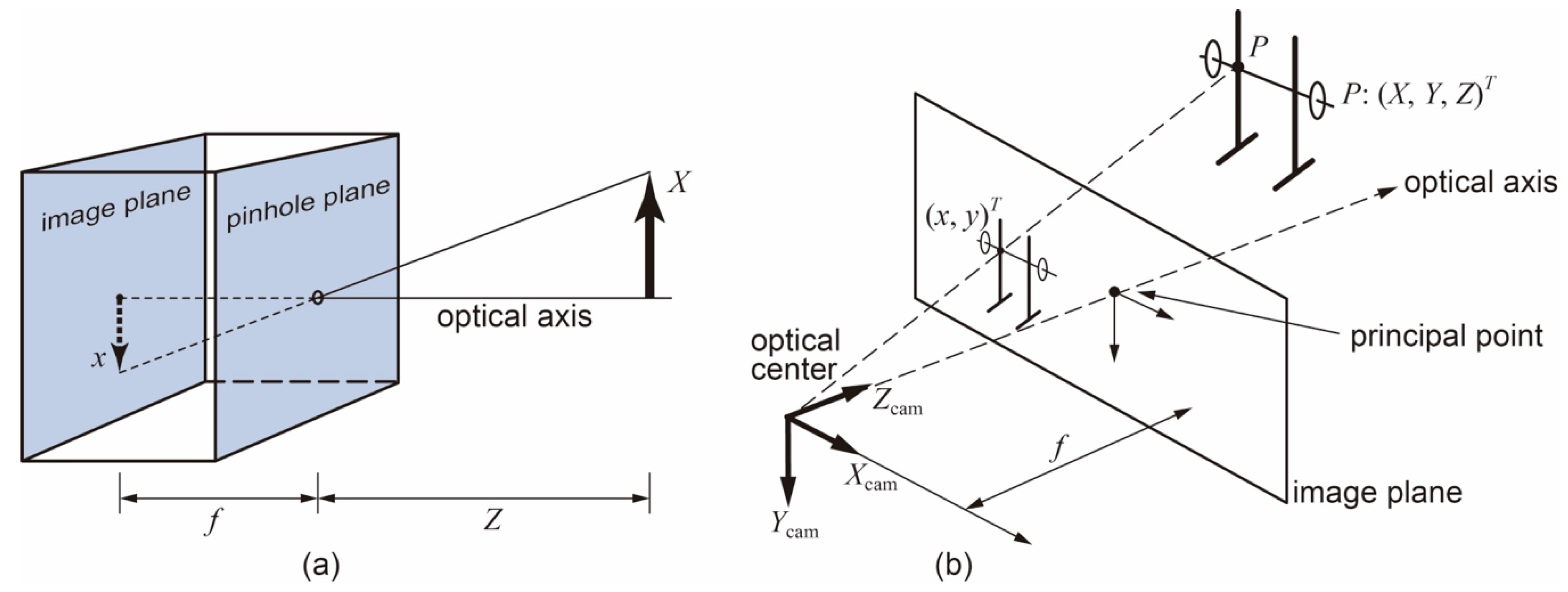 Sensors 21 00925 g002