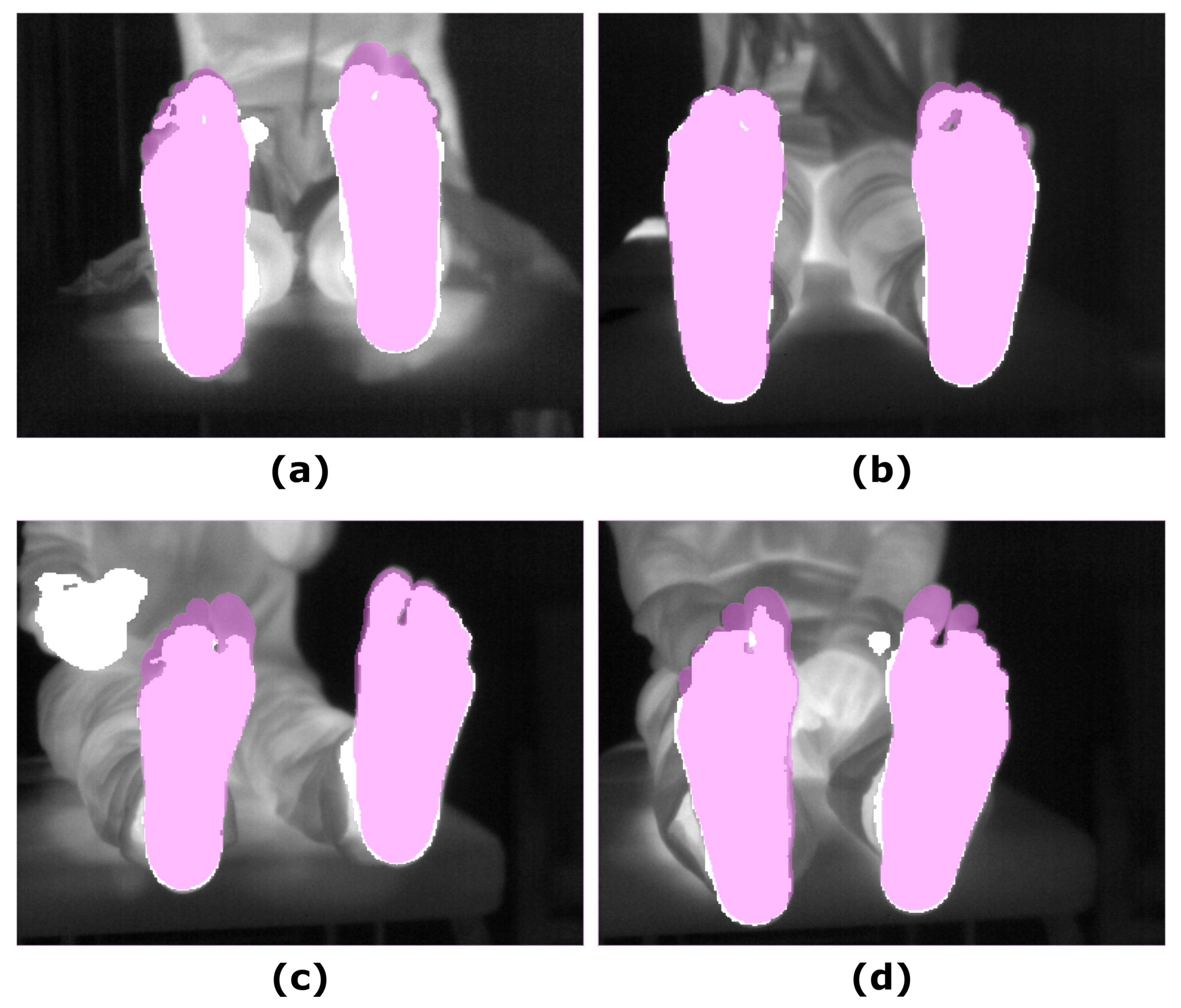 Sensors 21 00934 g005