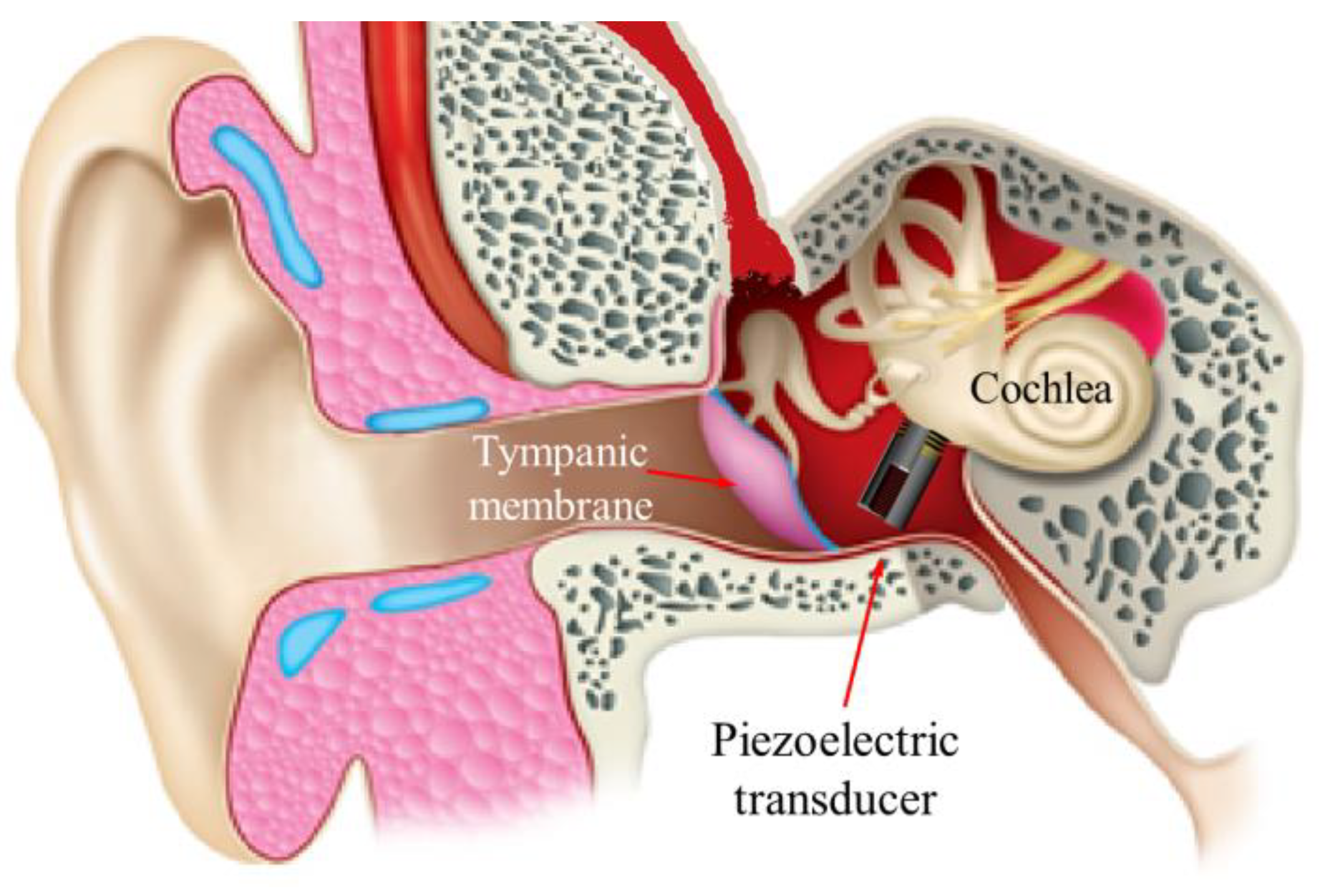 Sensors 21 00946 g001