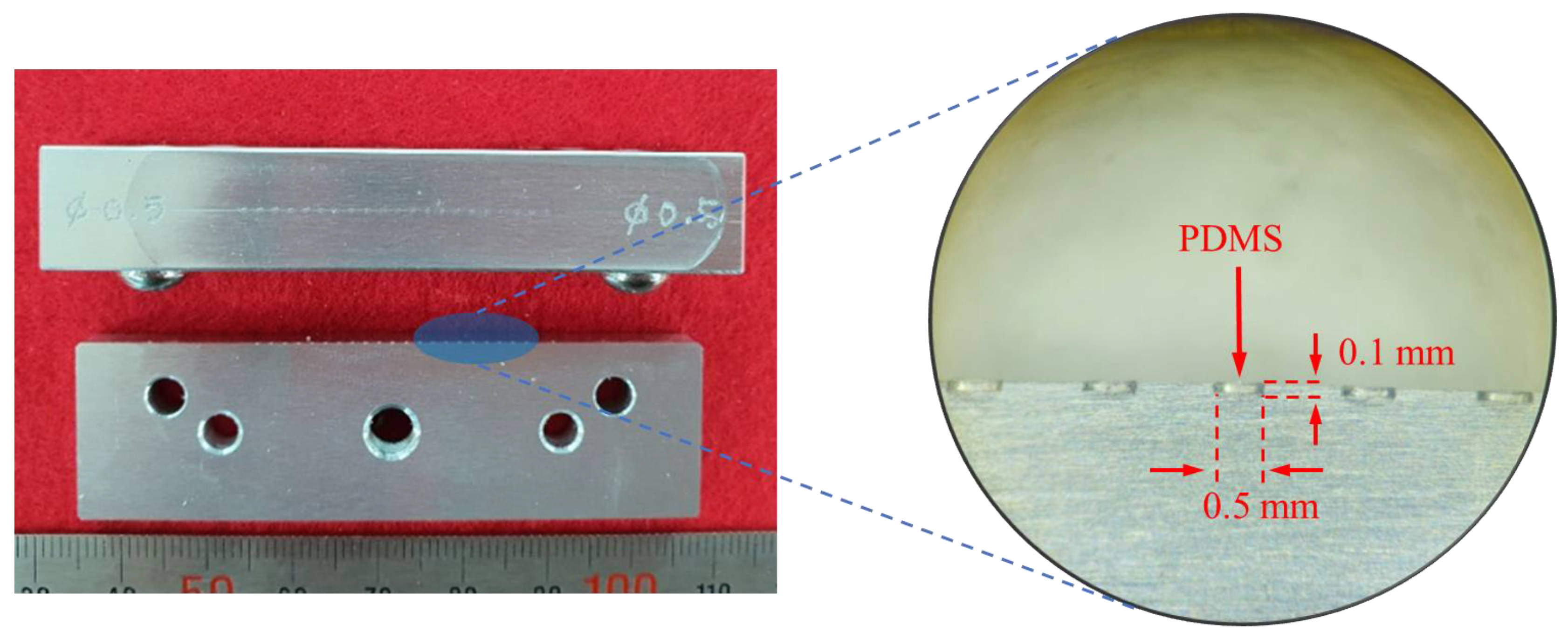 Sensors 21 00946 g006