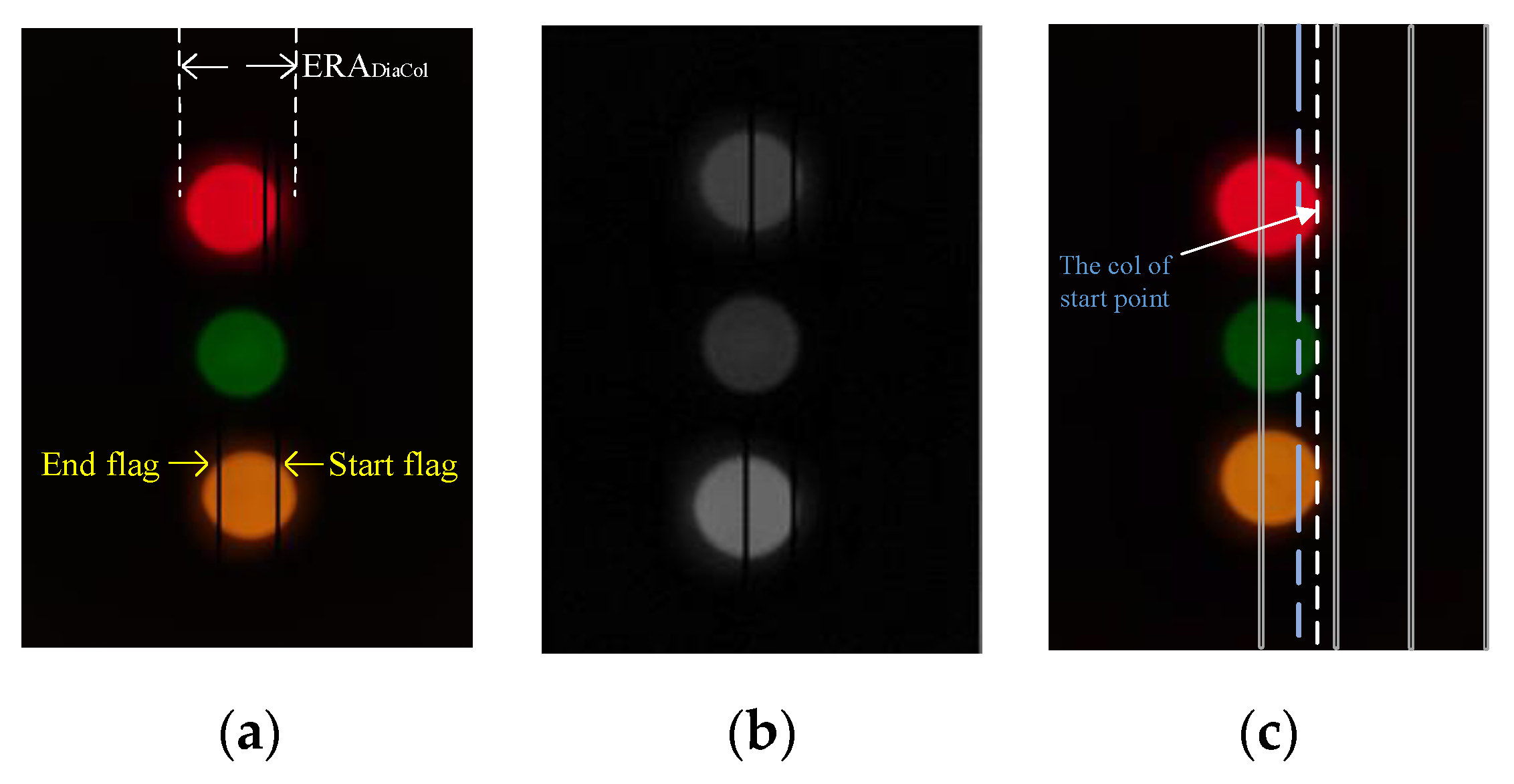 Sensors 21 00953 g006