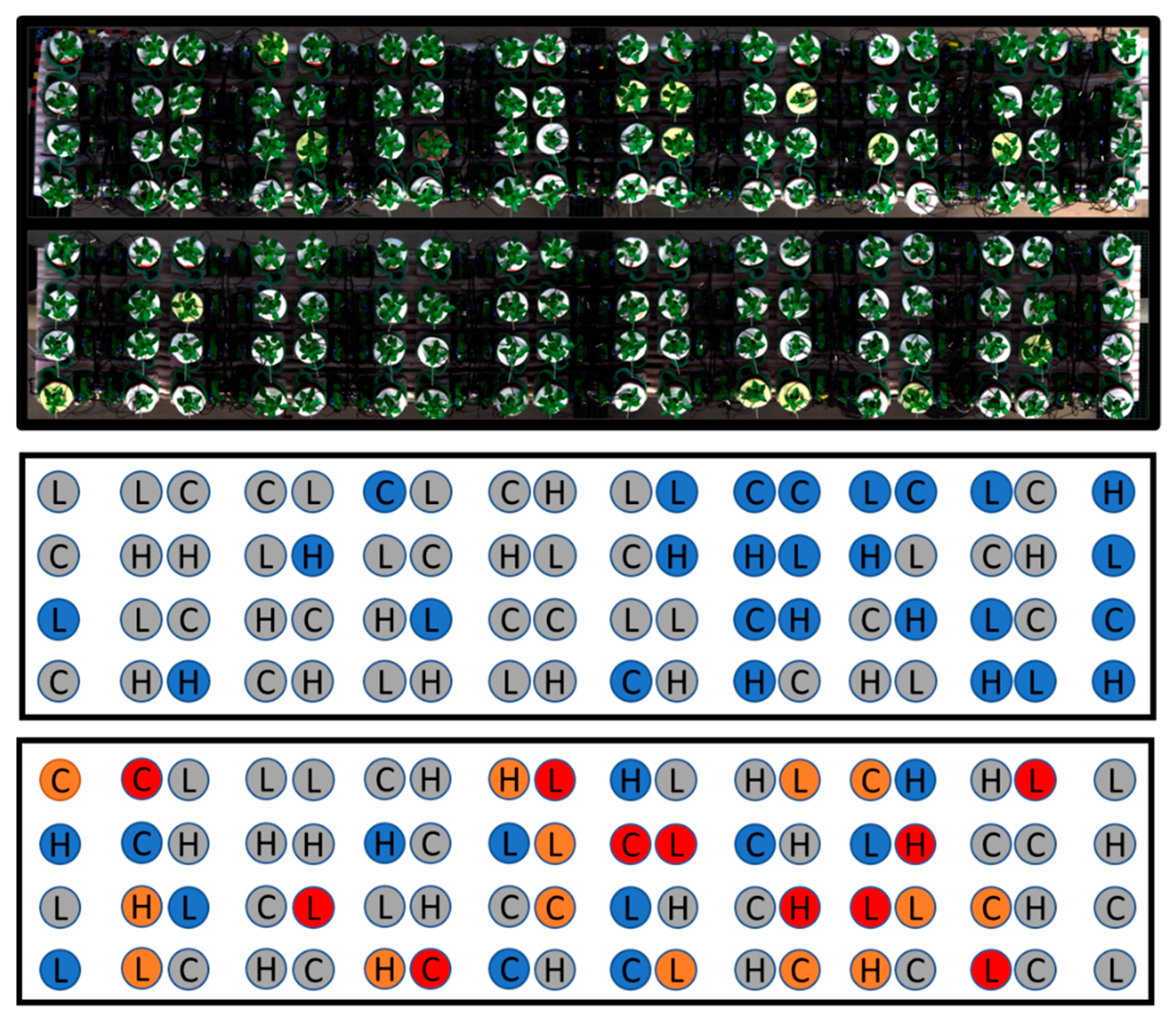 Sensors 21 00958 g001