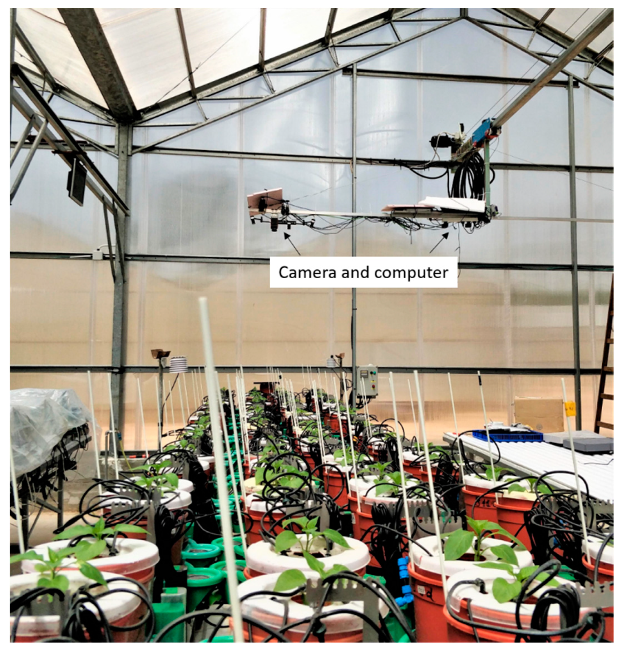 Sensors 21 00958 g002