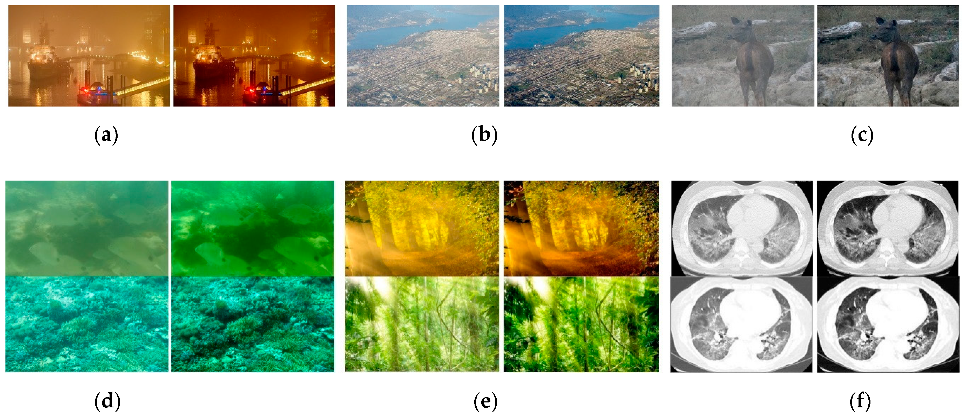Sensors 21 00960 g013