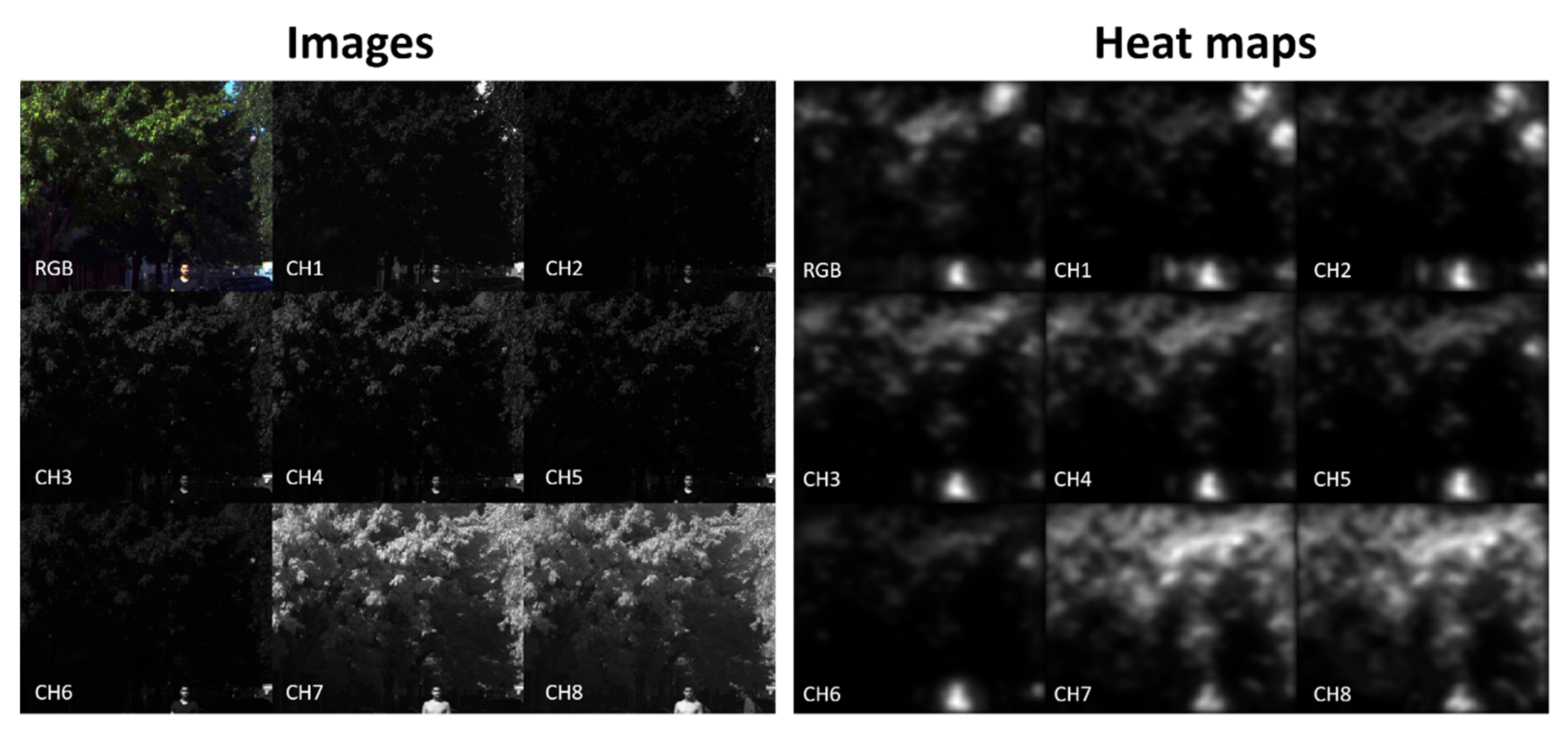 Sensors 21 00970 g008
