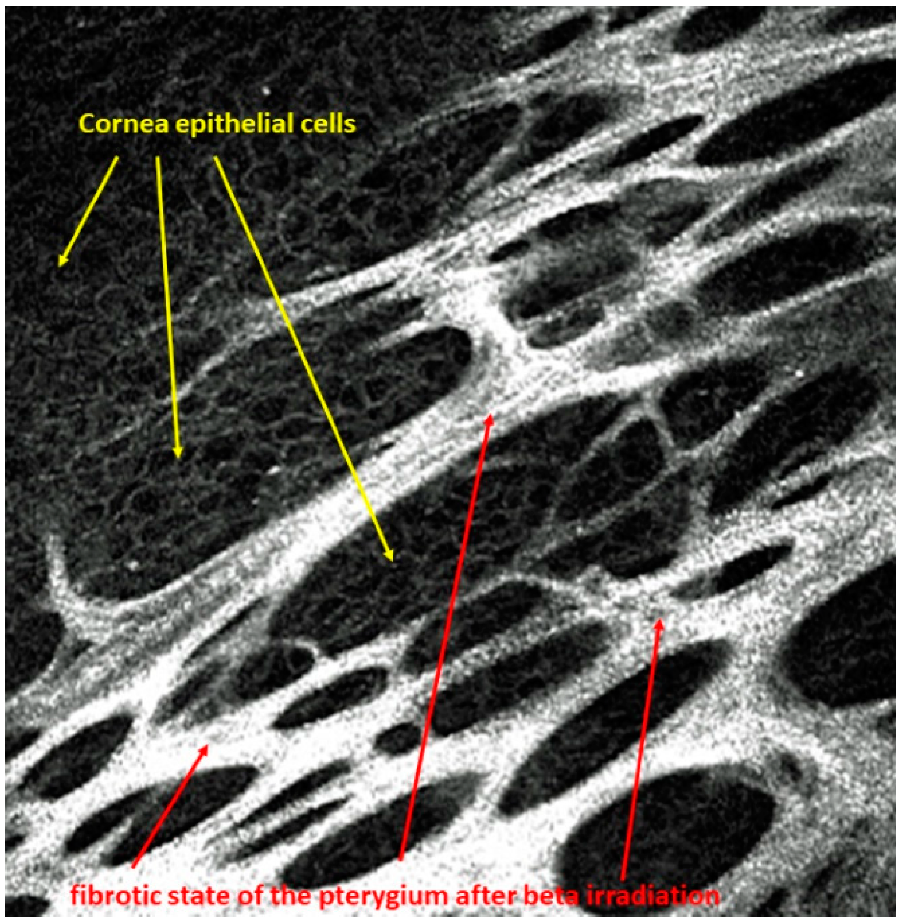 Sensors 21 00975 g001 Sensors 21 00975 g001