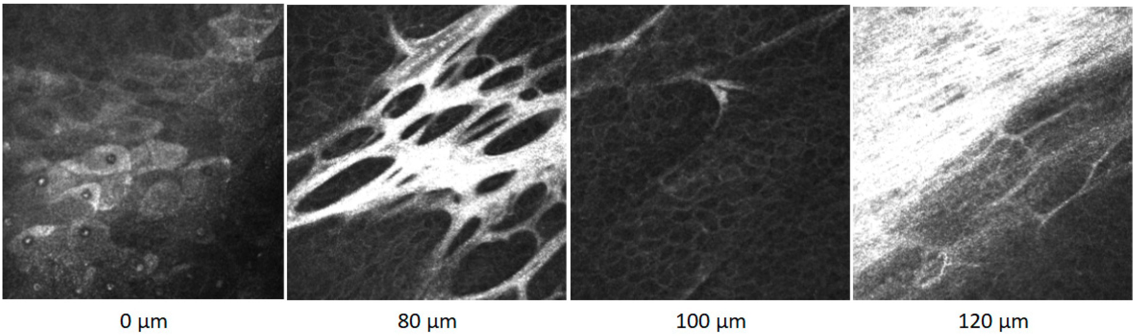 Sensors 21 00975 g002 Sensors 21 00975 g002