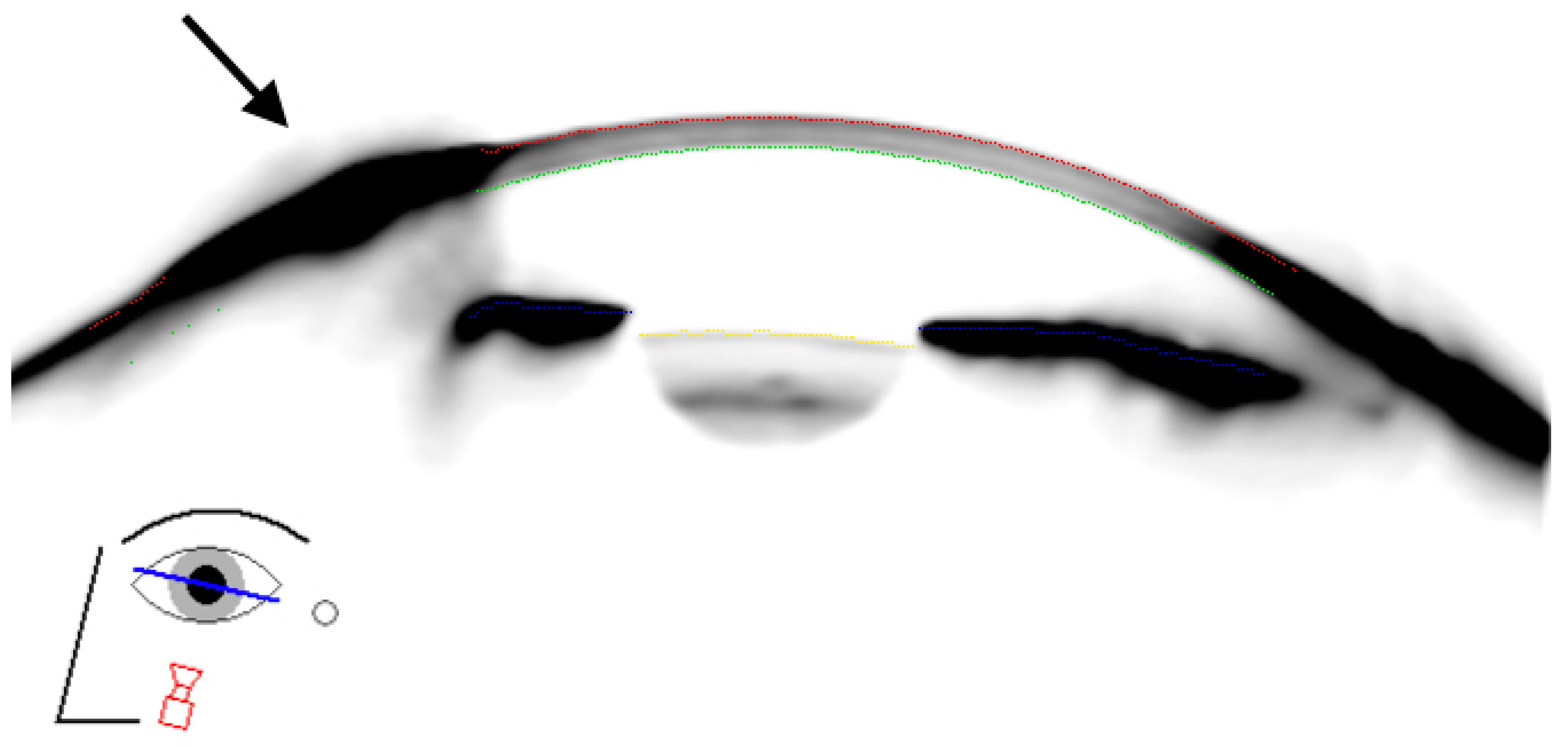 Sensors 21 00975 g006 Sensors 21 00975 g006