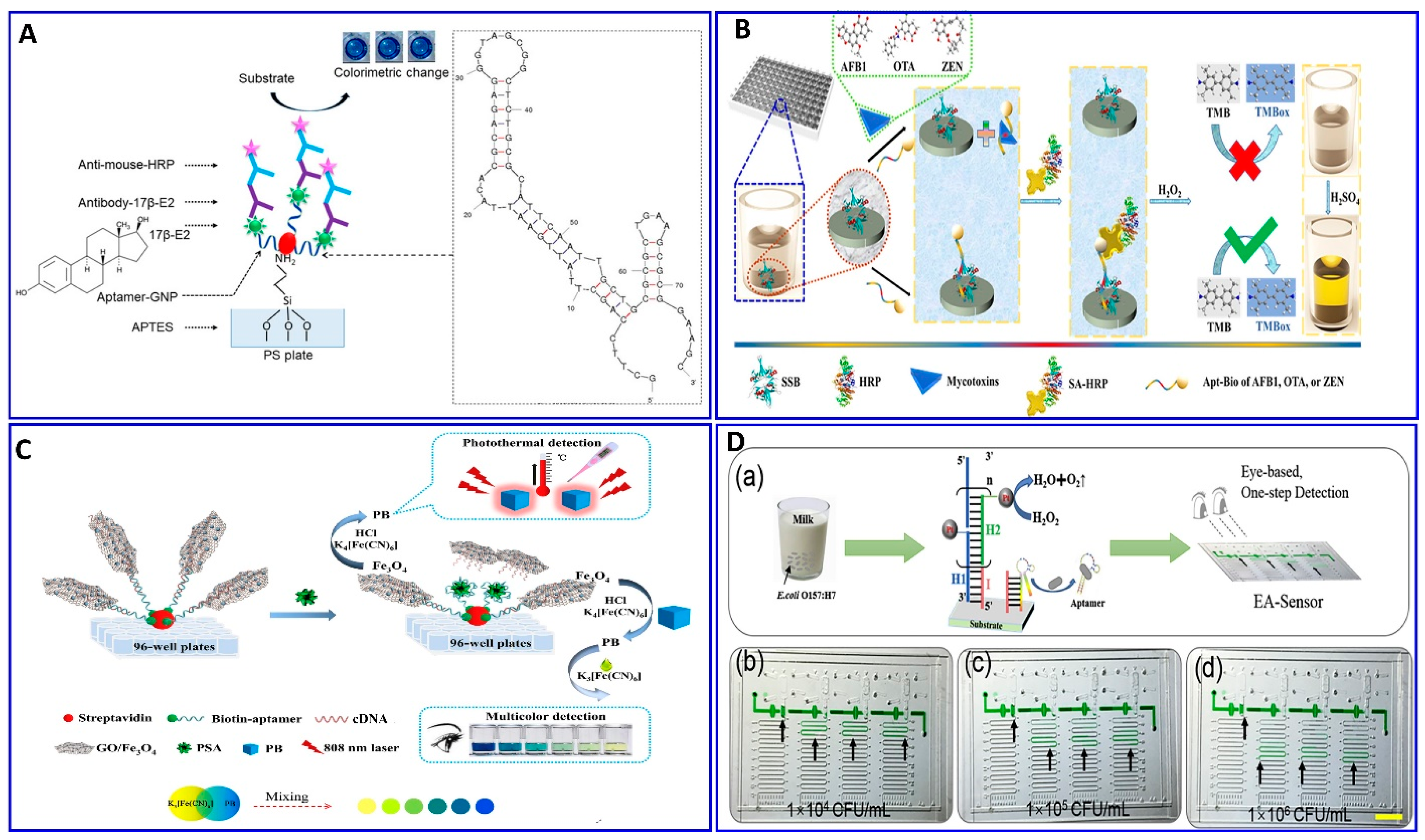 Sensors 21 00979 g005 Sensors 21 00979 g005