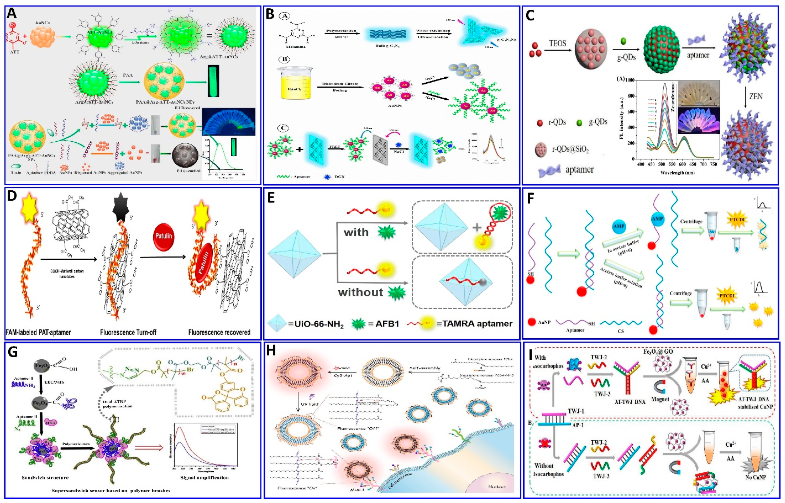 Sensors 21 00979 g006 Sensors 21 00979 g006