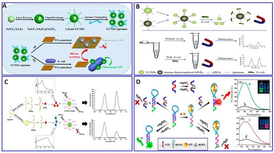 Sensors 21 00979 g007