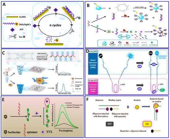 Sensors 21 00979 g008