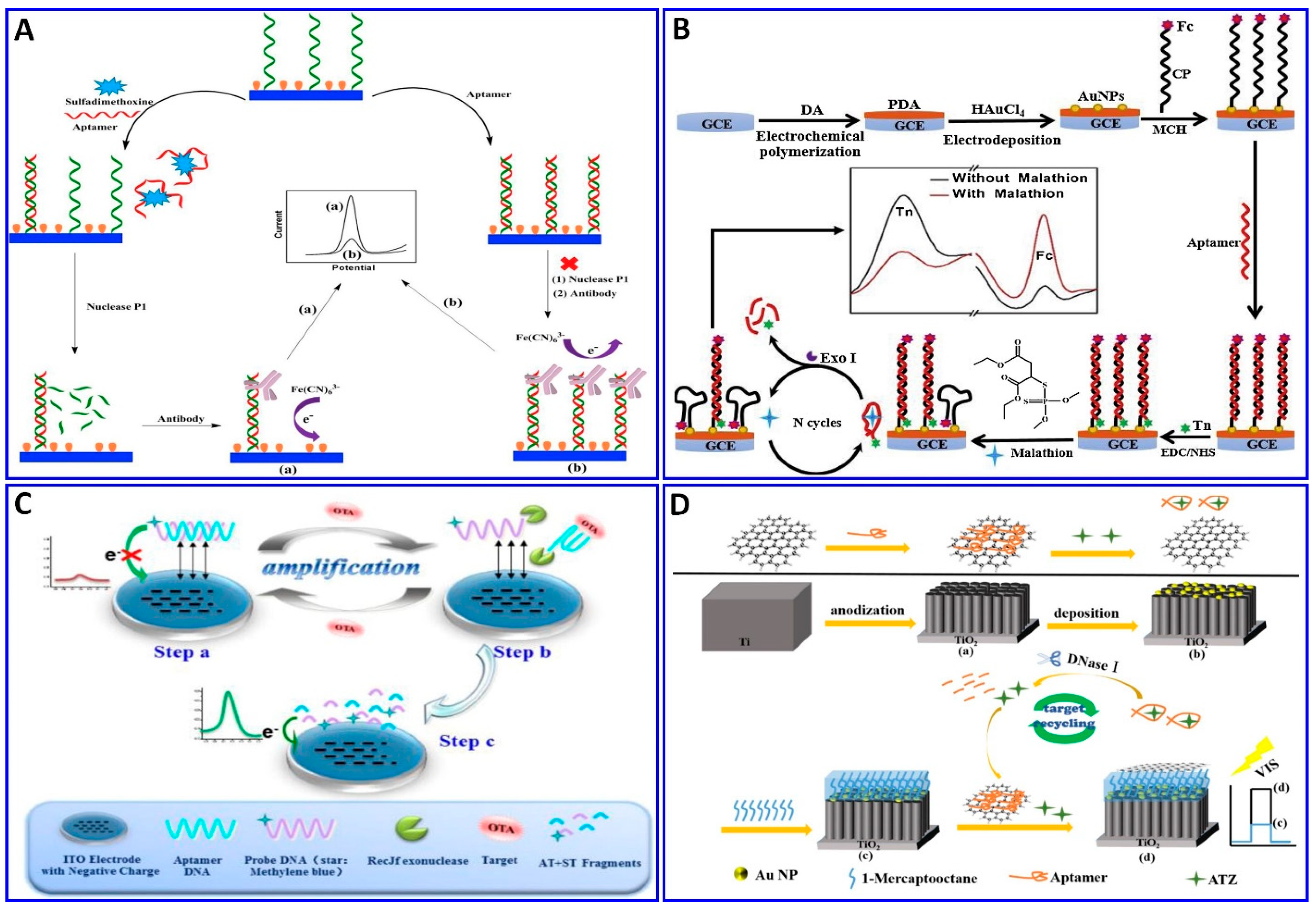 Sensors 21 00979 g011 Sensors 21 00979 g011