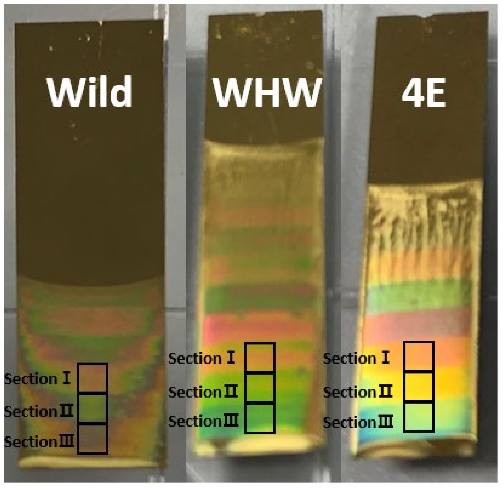 Sensors 21 00986 g001