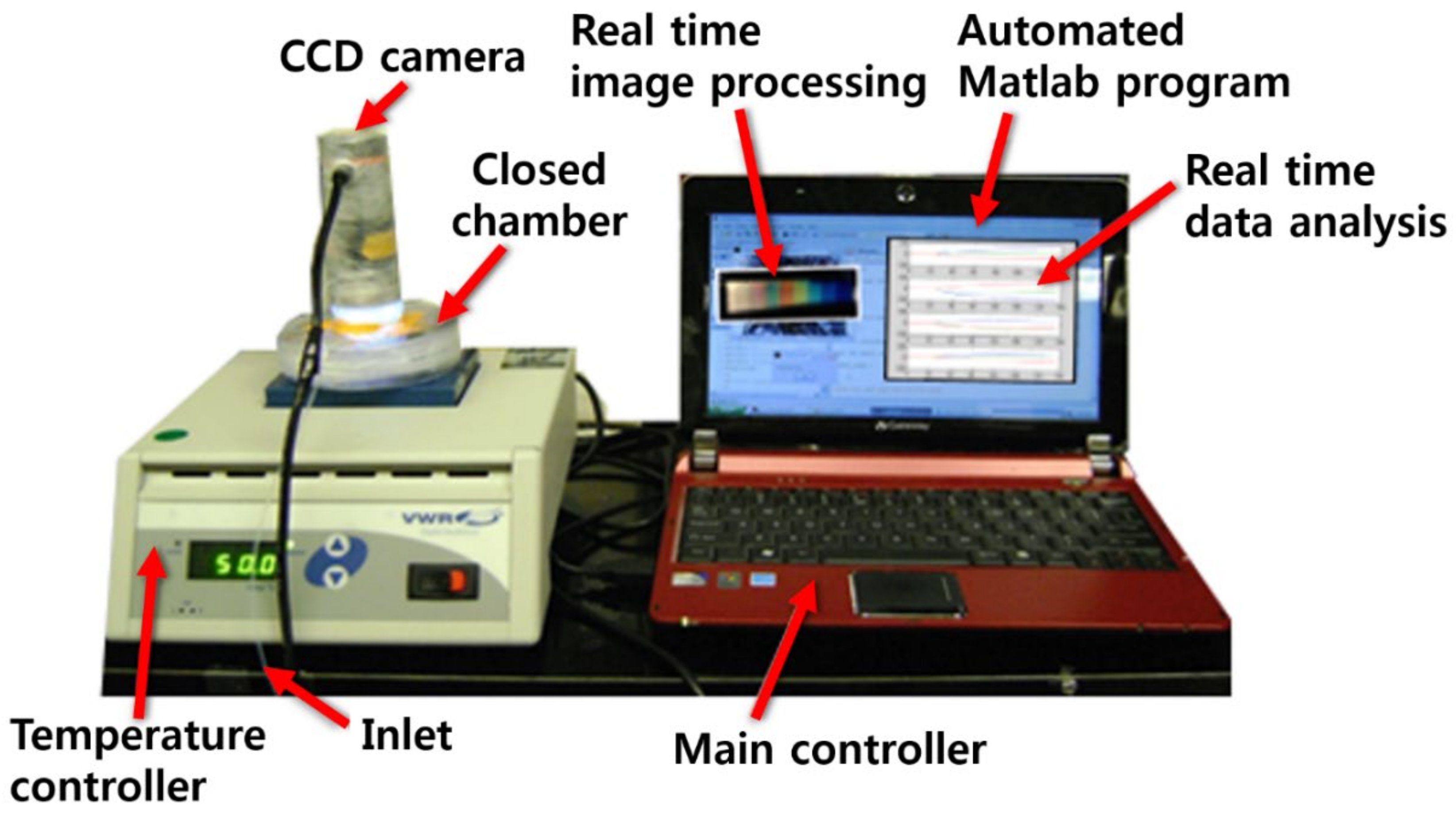 Sensors 21 00986 g002