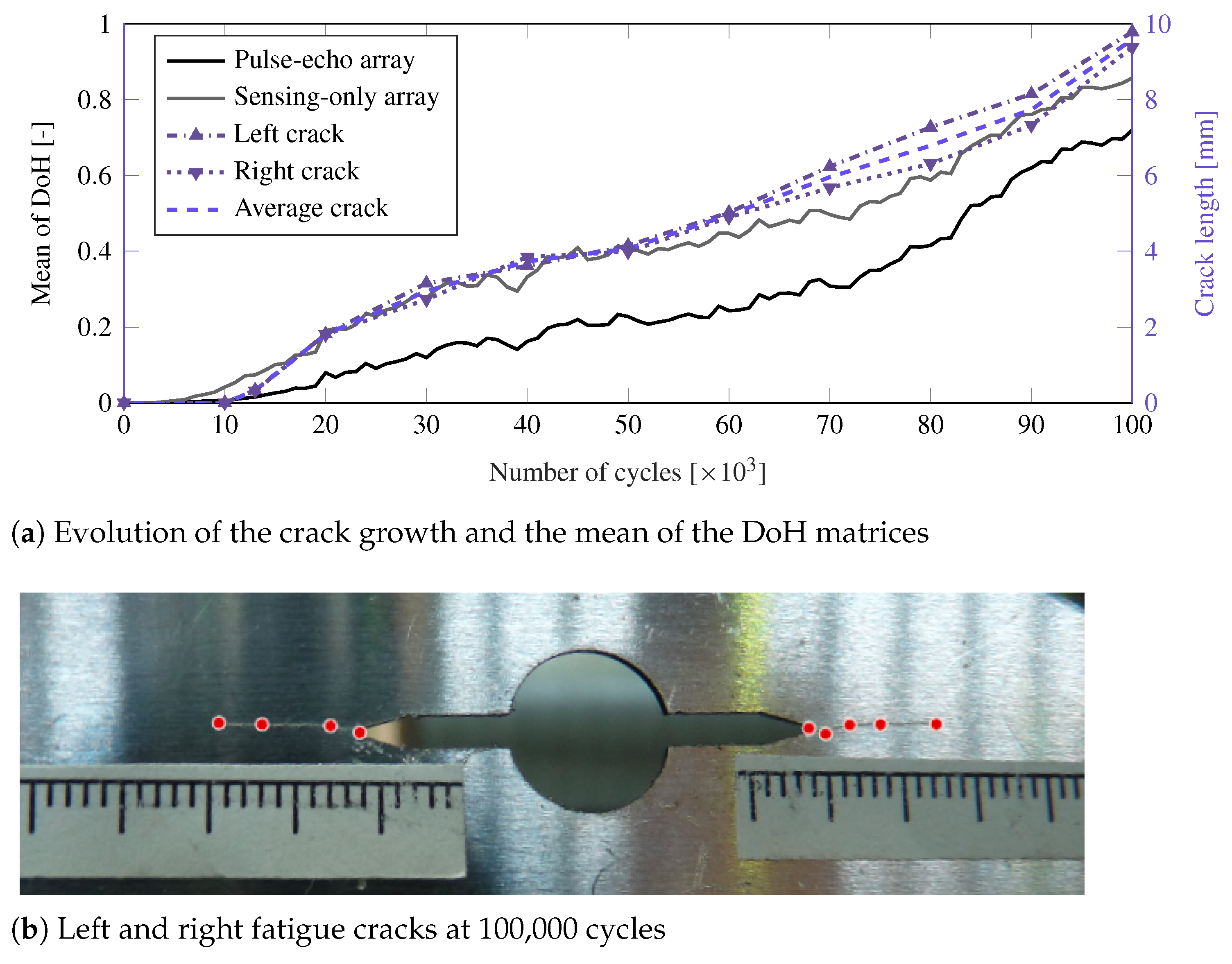 Sensors 21 00993 g007