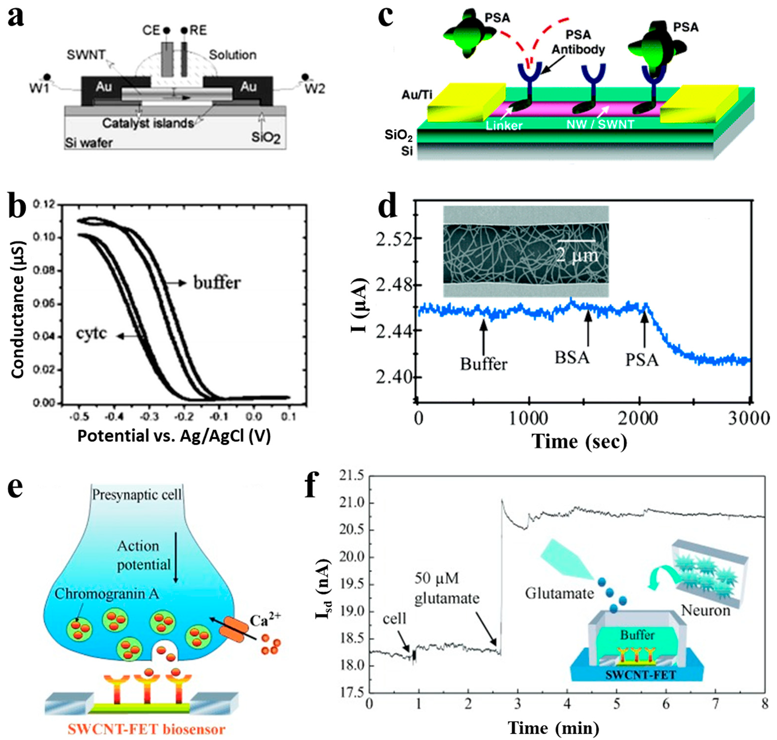 Sensors 21 00995 g005