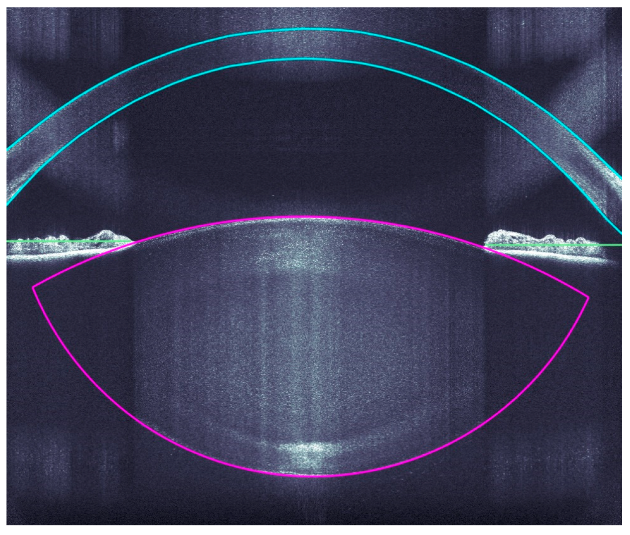 Sensors 21 00996 g002