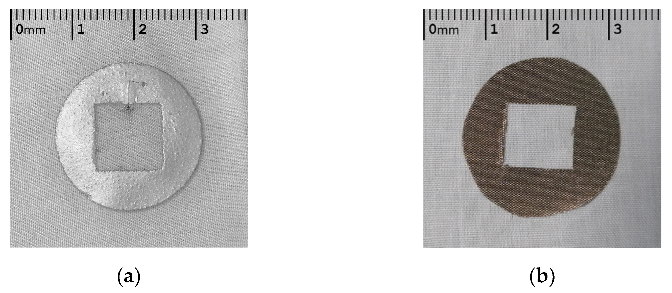 Sensors 21 00999 g004