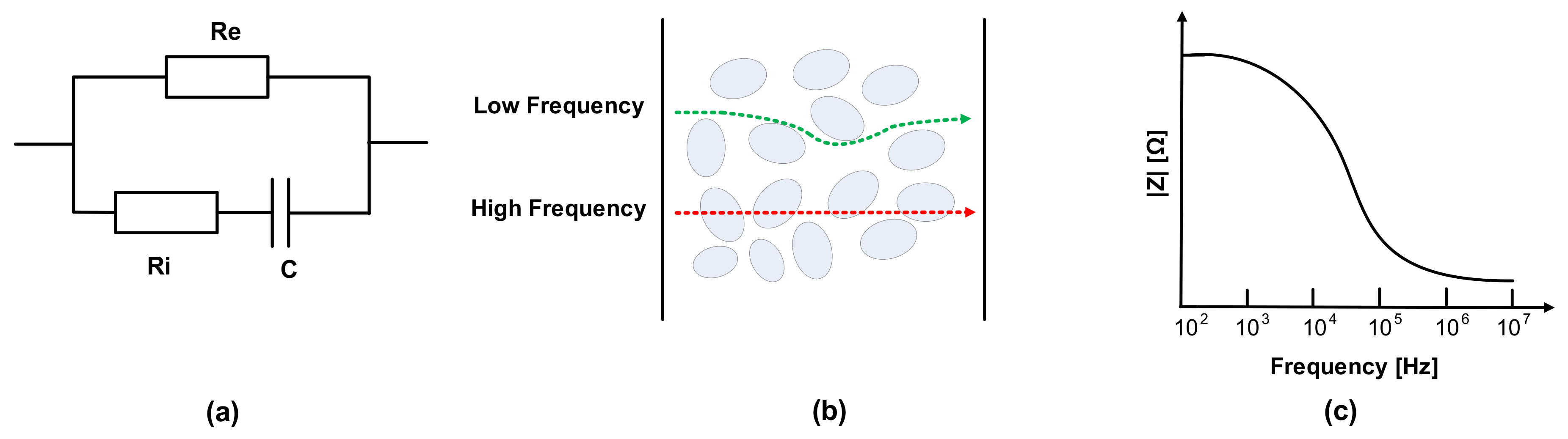 Sensors 21 01001 g002