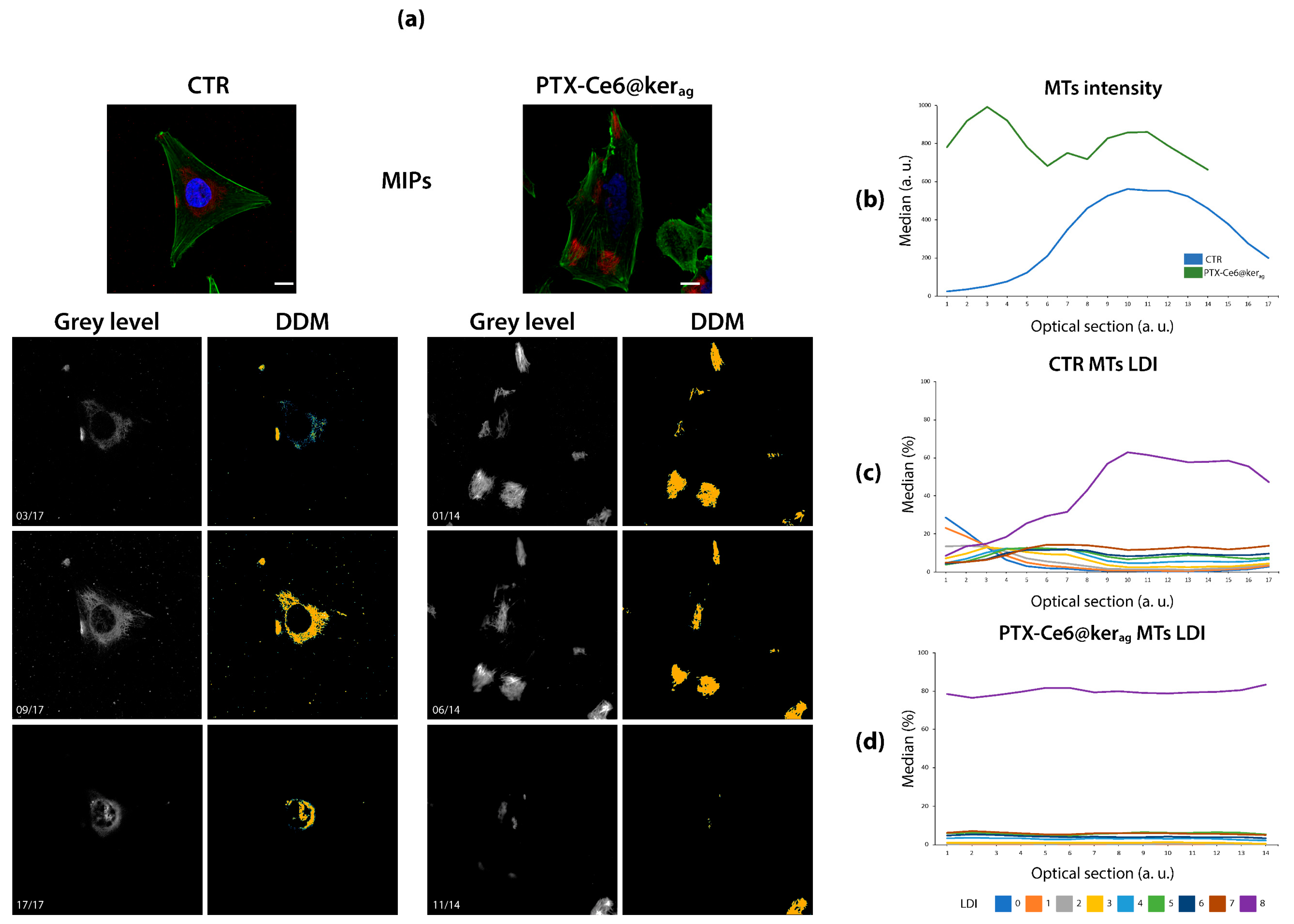 Sensors 21 01009 g004
