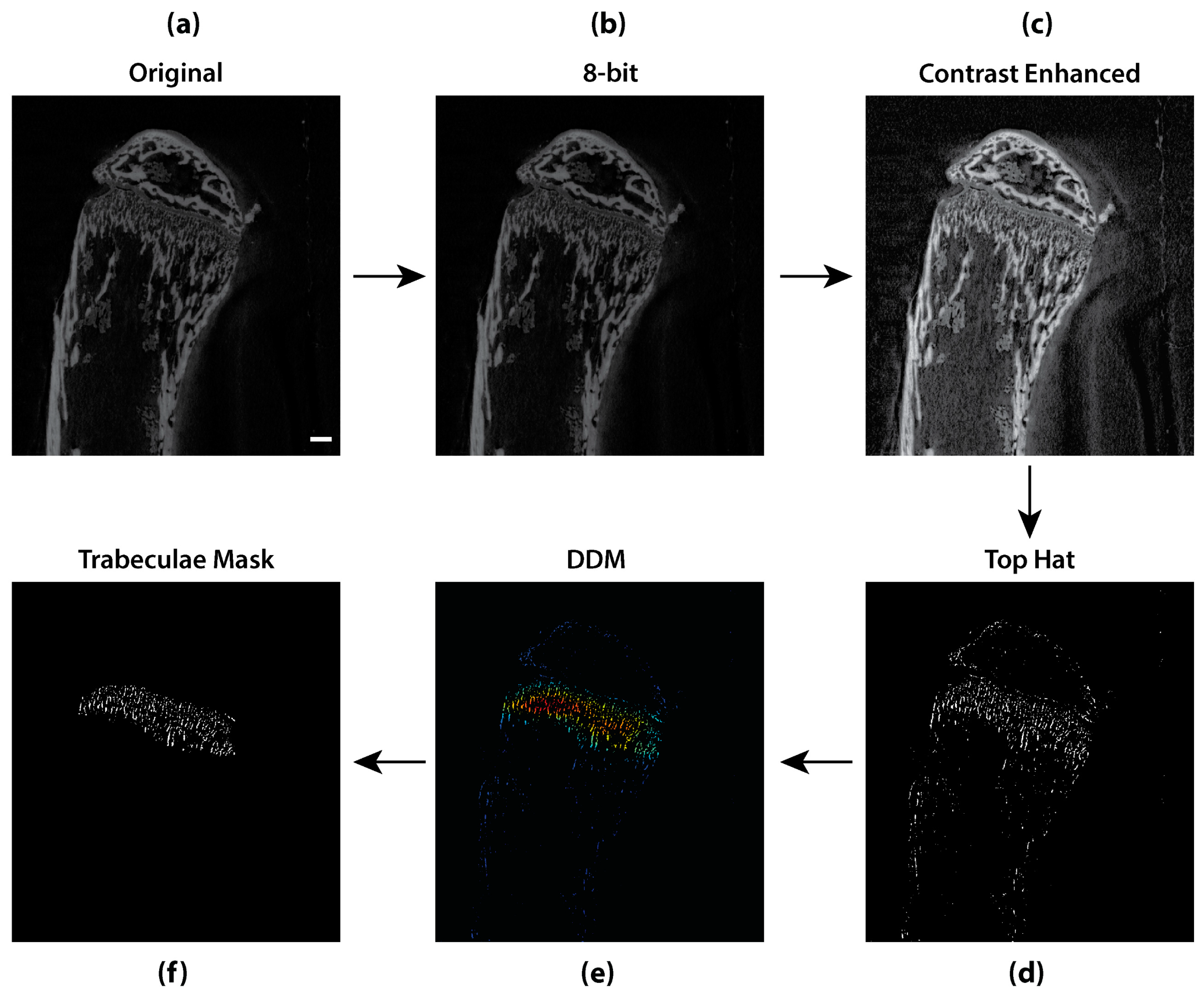Sensors 21 01009 g007