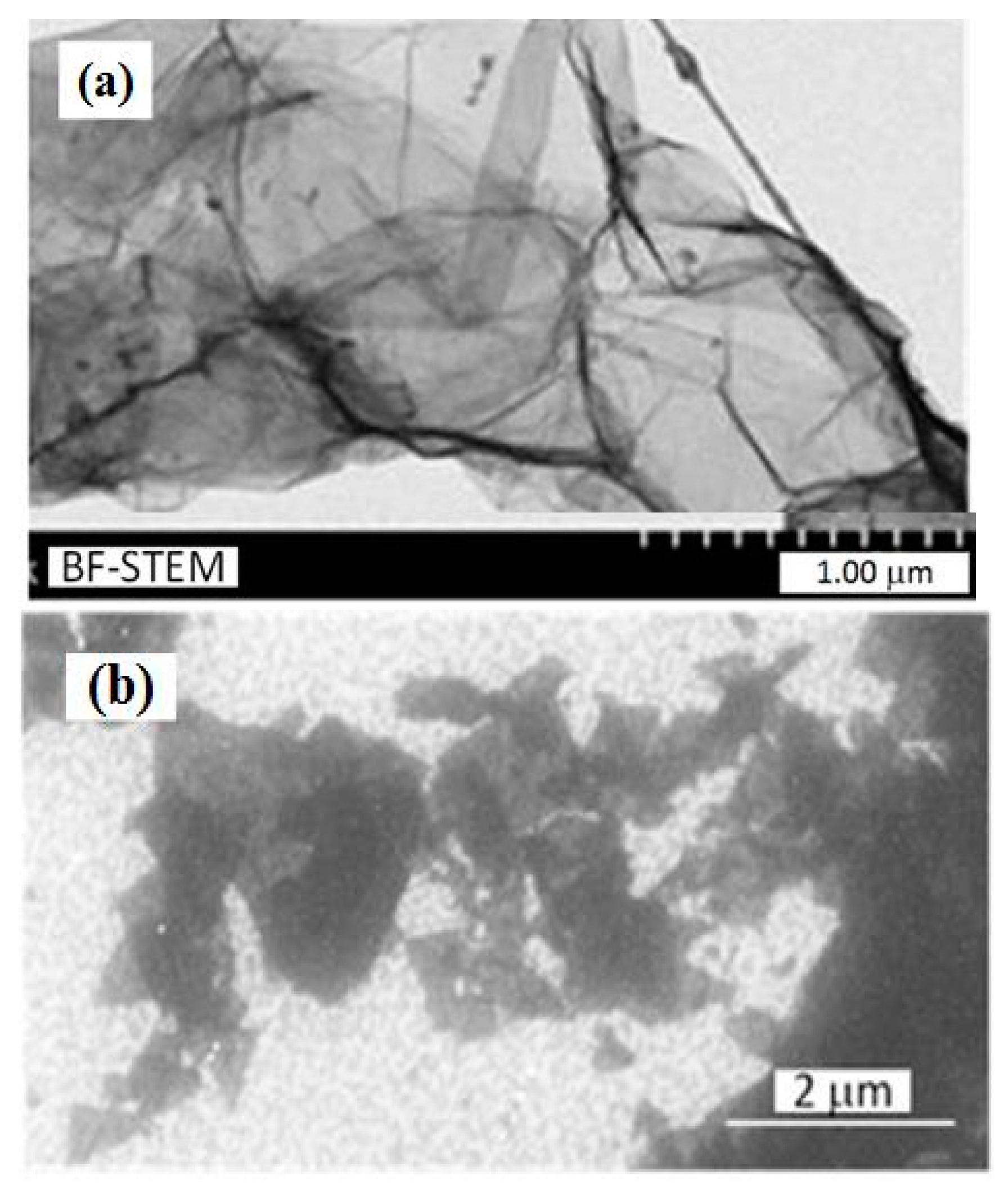 Sensors 21 01011 g002