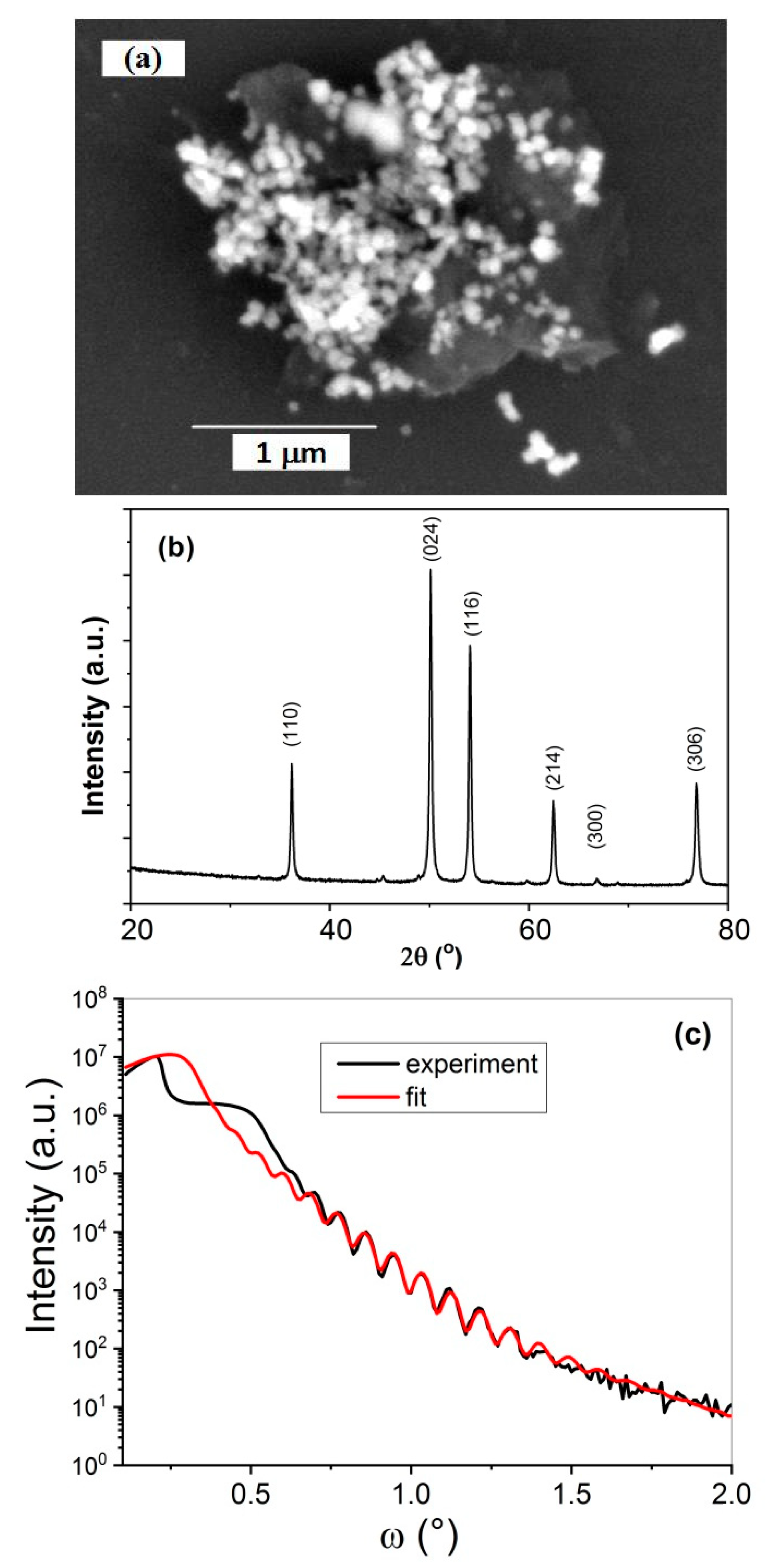 Sensors 21 01011 g003