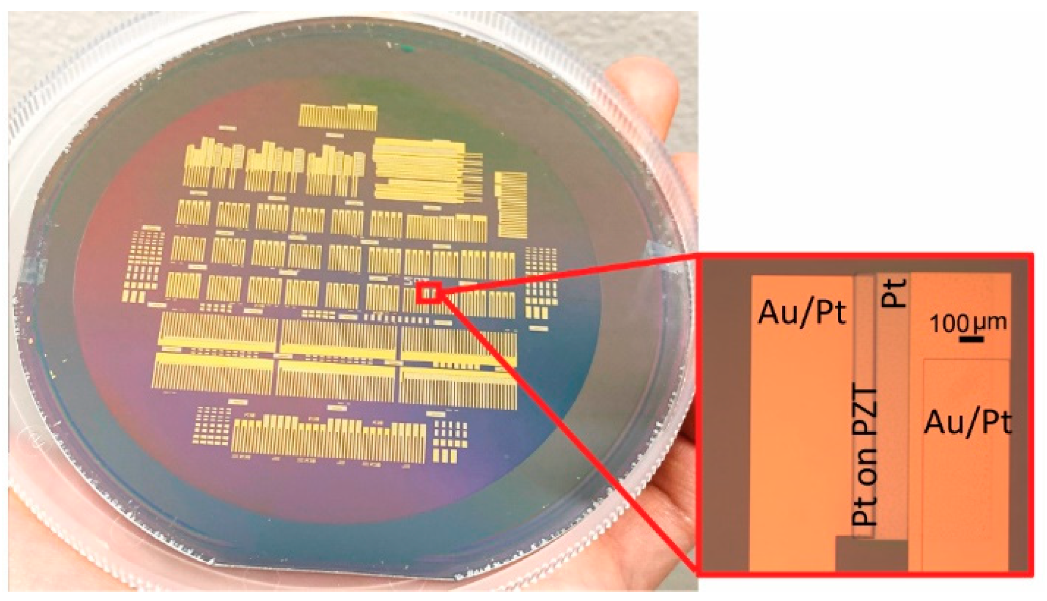 Sensors 21 01014 g002