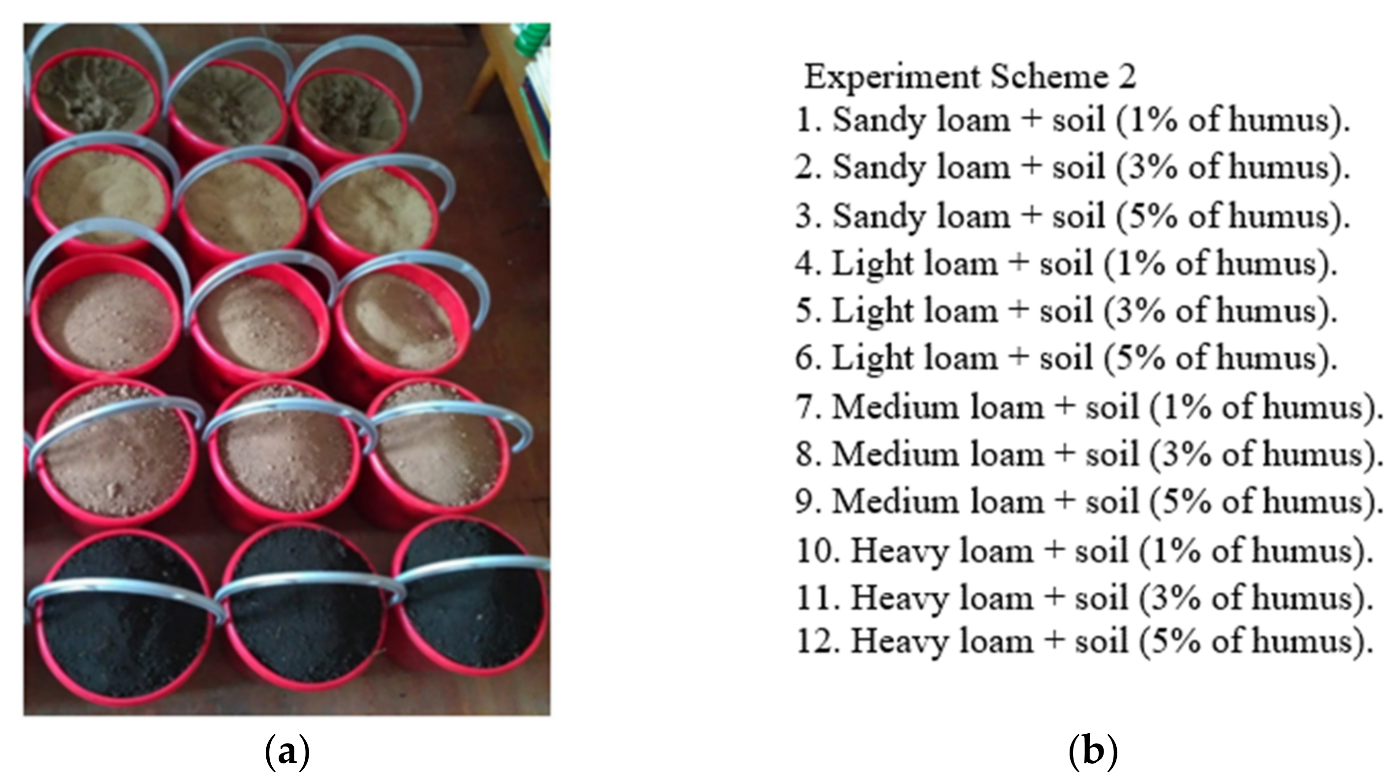 Sensors 21 01017 g001