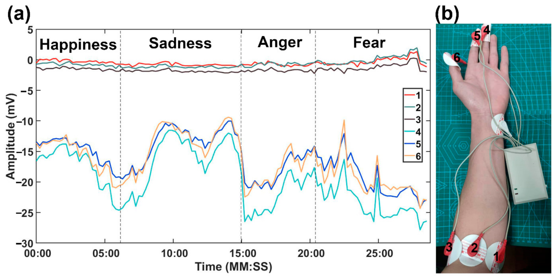 Sensors 21 01018 g003
