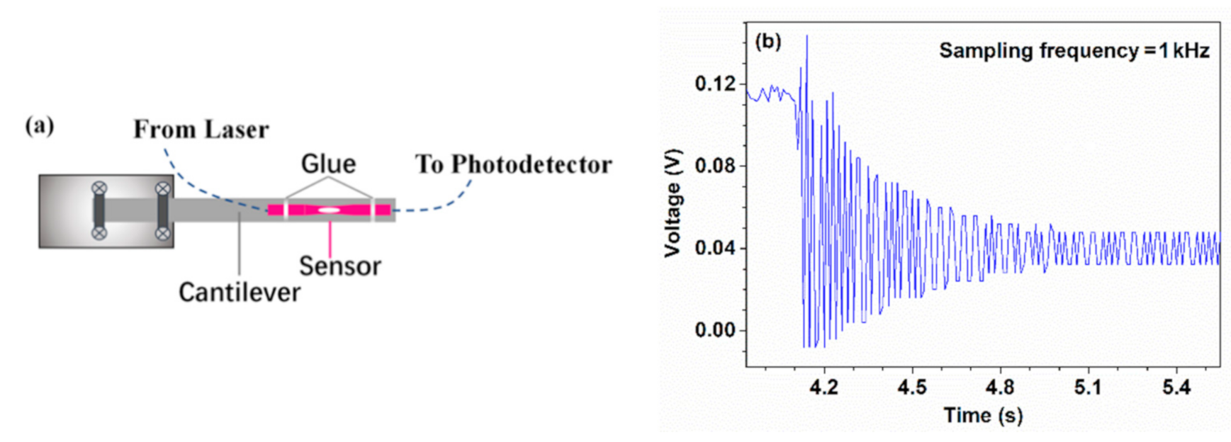 Sensors 21 01023 g009 Sensors 21 01023 g009