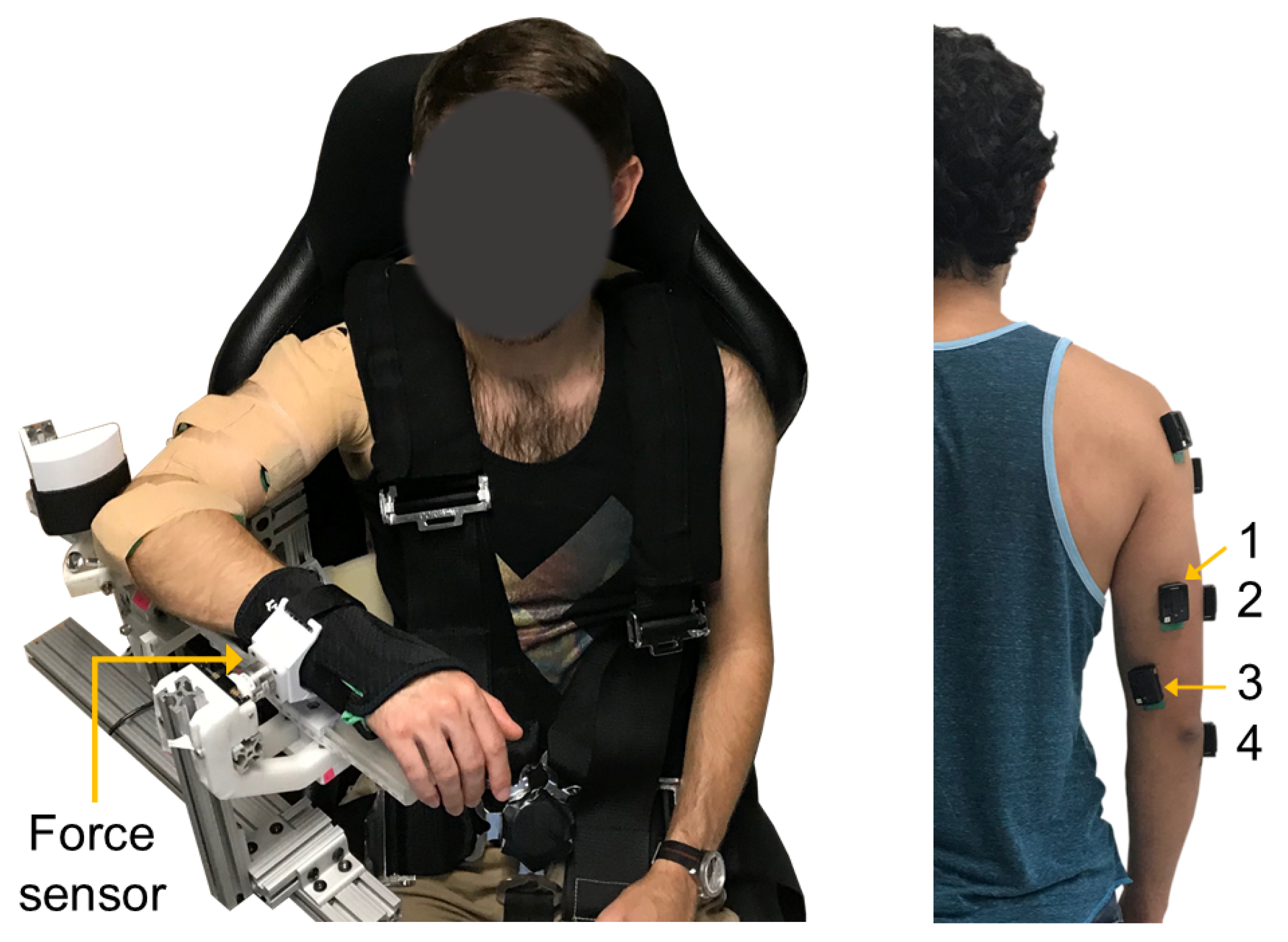 Sensors 21 01024 g001