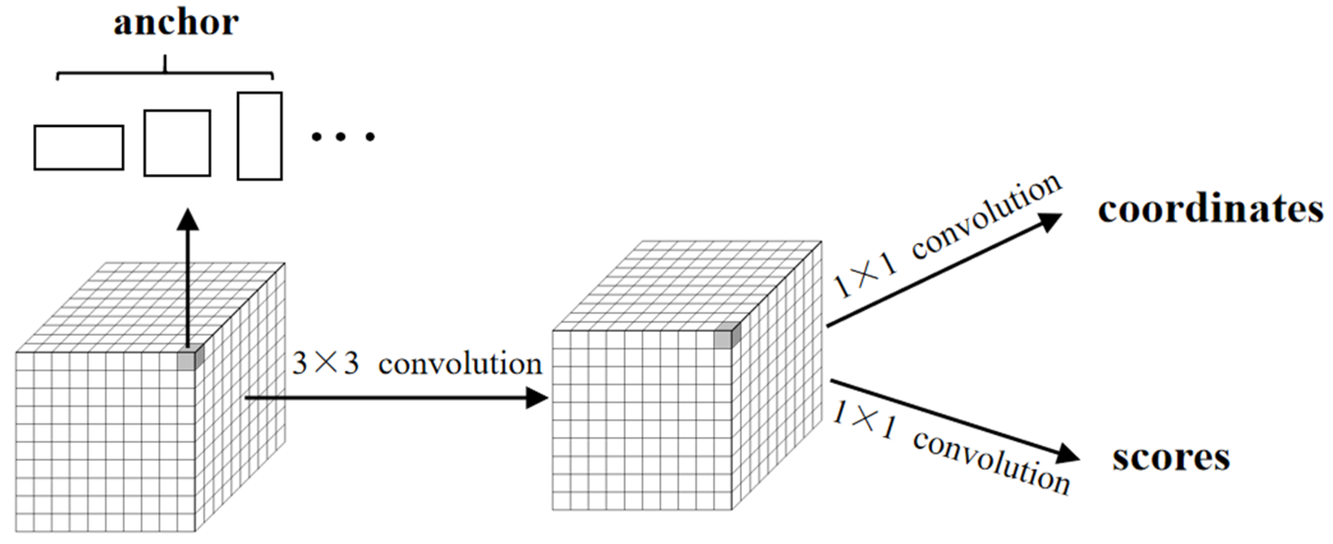 Sensors 21 01033 g001