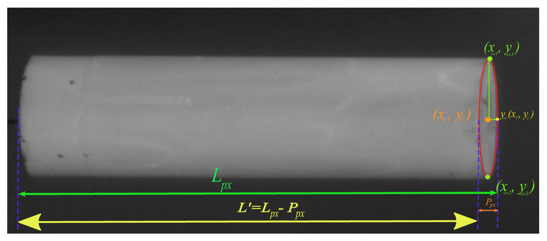 Sensors 21 01041 g002