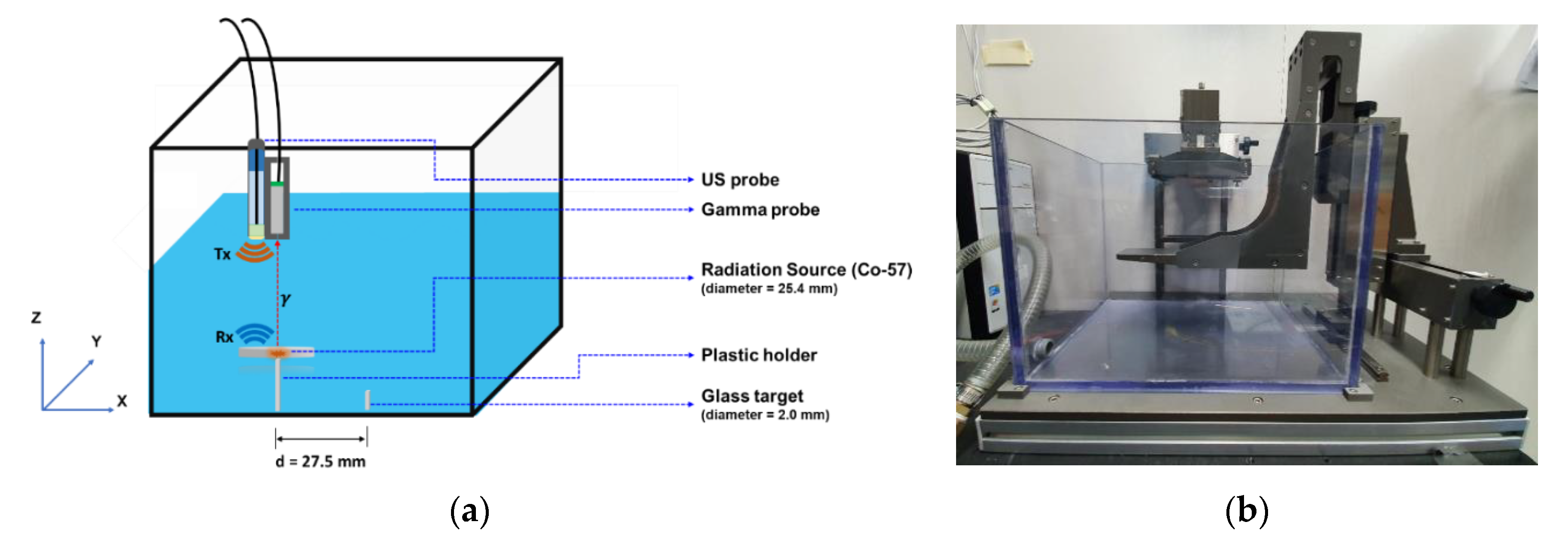 Sensors 21 01048 g004