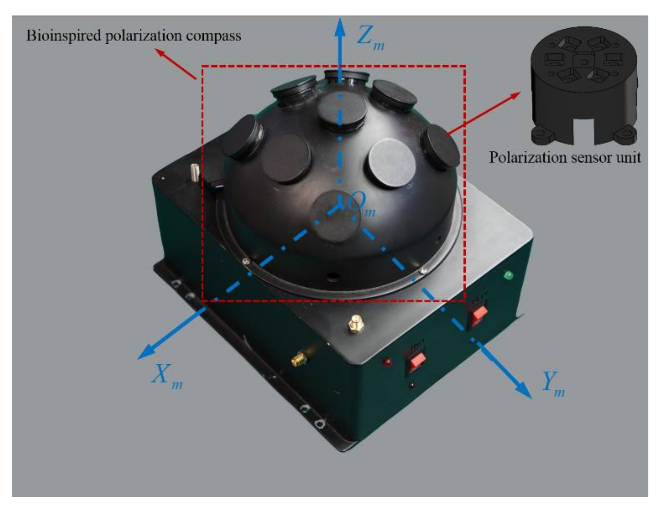 Sensors 21 01055 g002