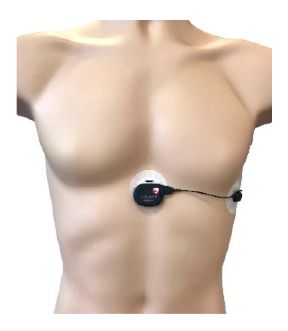 Sensors 21 01061 g002 Sensors 21 01061 g002