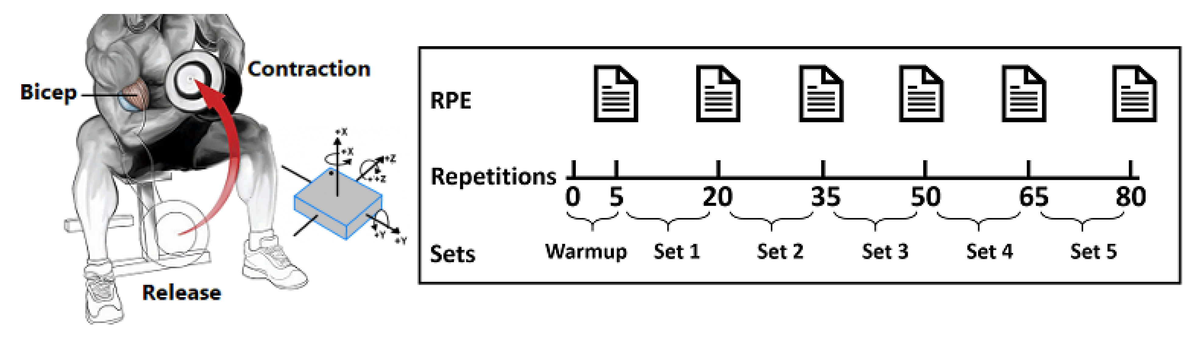 Sensors 21 01070 g001