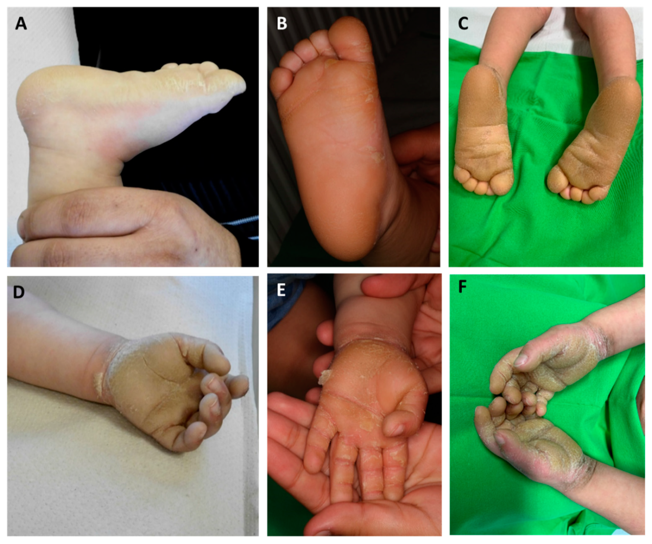 Sensors 21 01105 g002