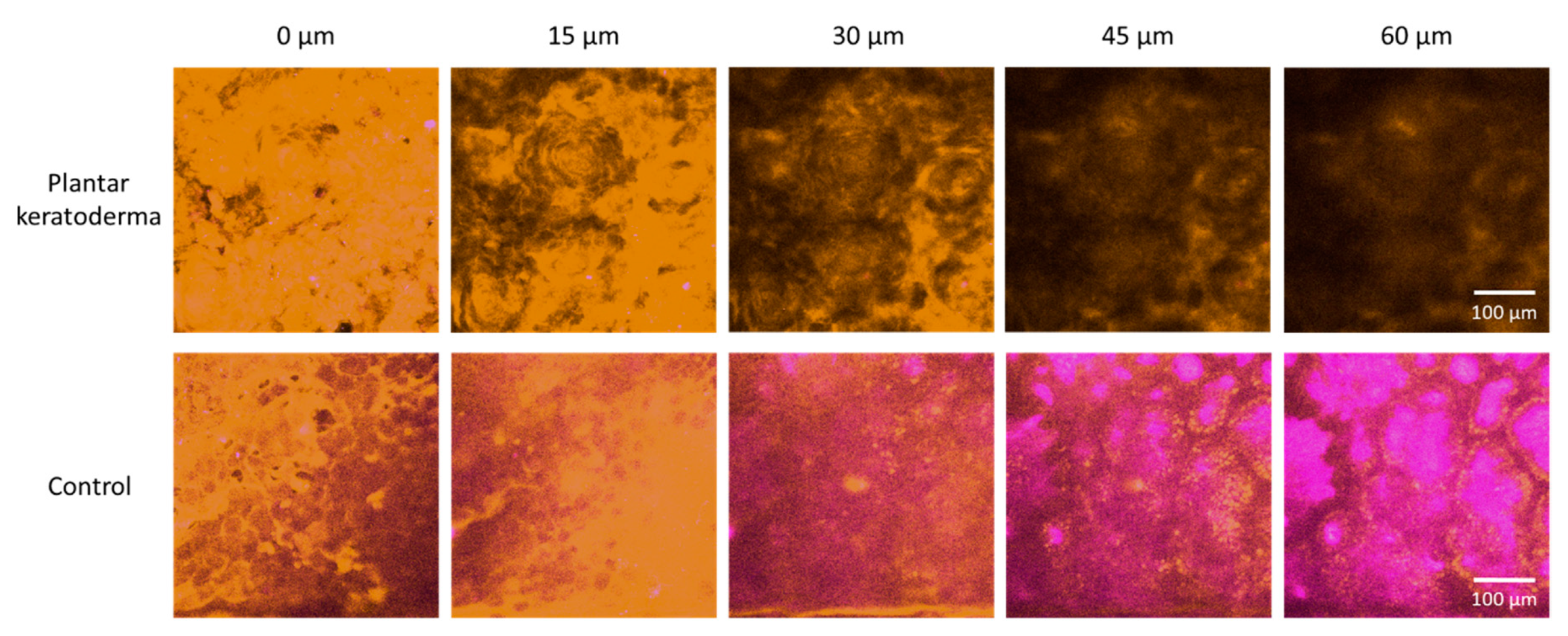 Sensors 21 01105 g005
