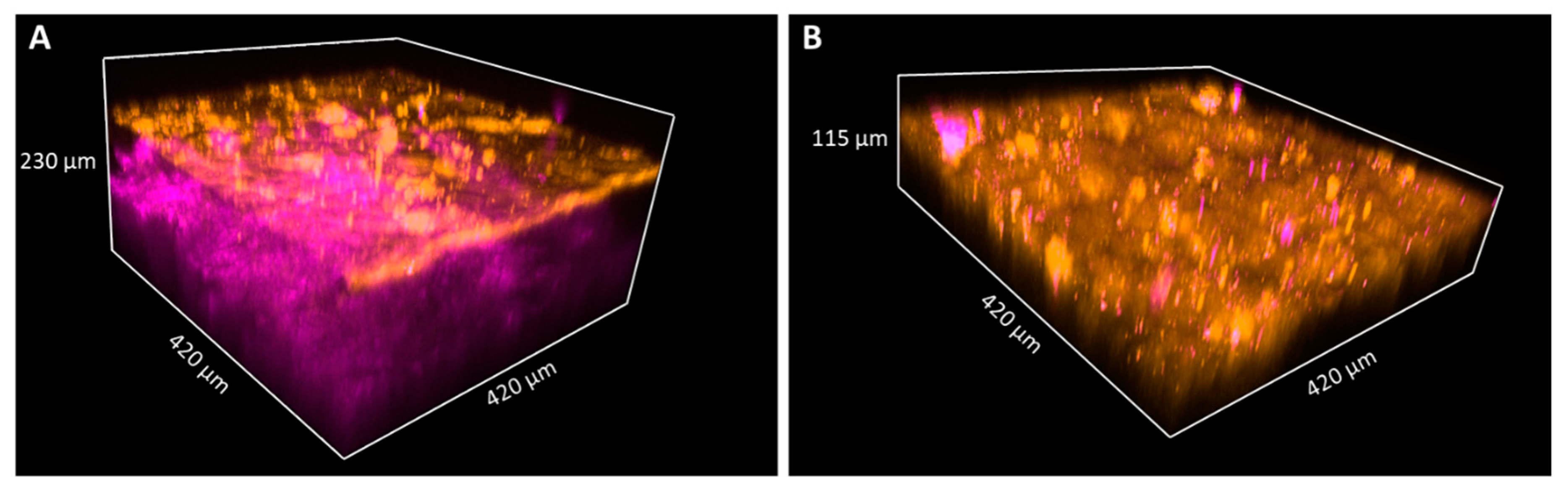 Sensors 21 01105 g006