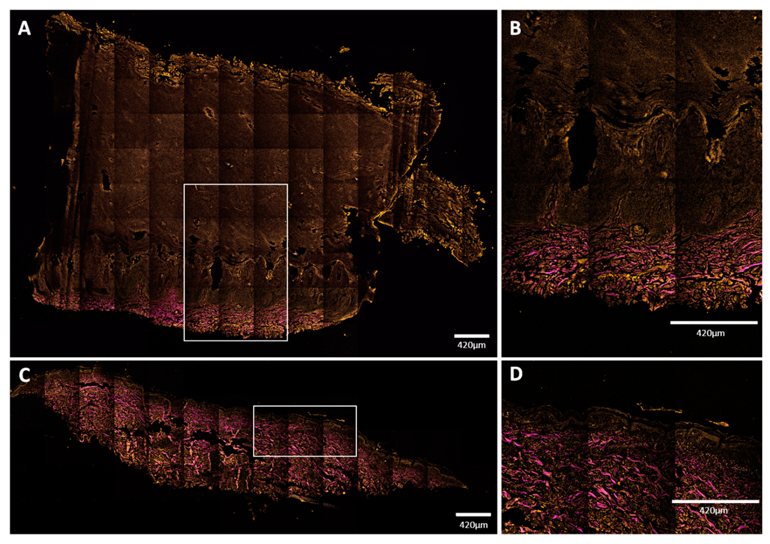 Sensors 21 01105 g007