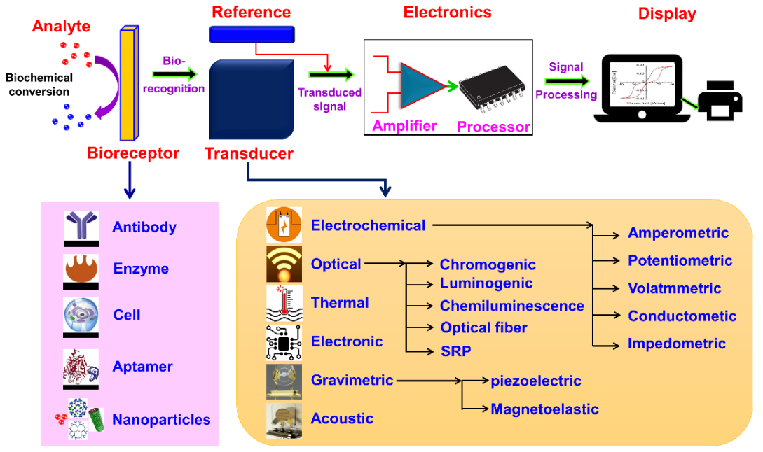 Sensors 21 01109 g002 Sensors 21 01109 g002