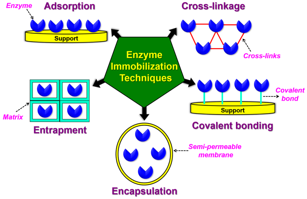 Sensors 21 01109 g005 Sensors 21 01109 g005
