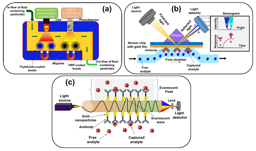 Sensors 21 01109 g007 Sensors 21 01109 g007