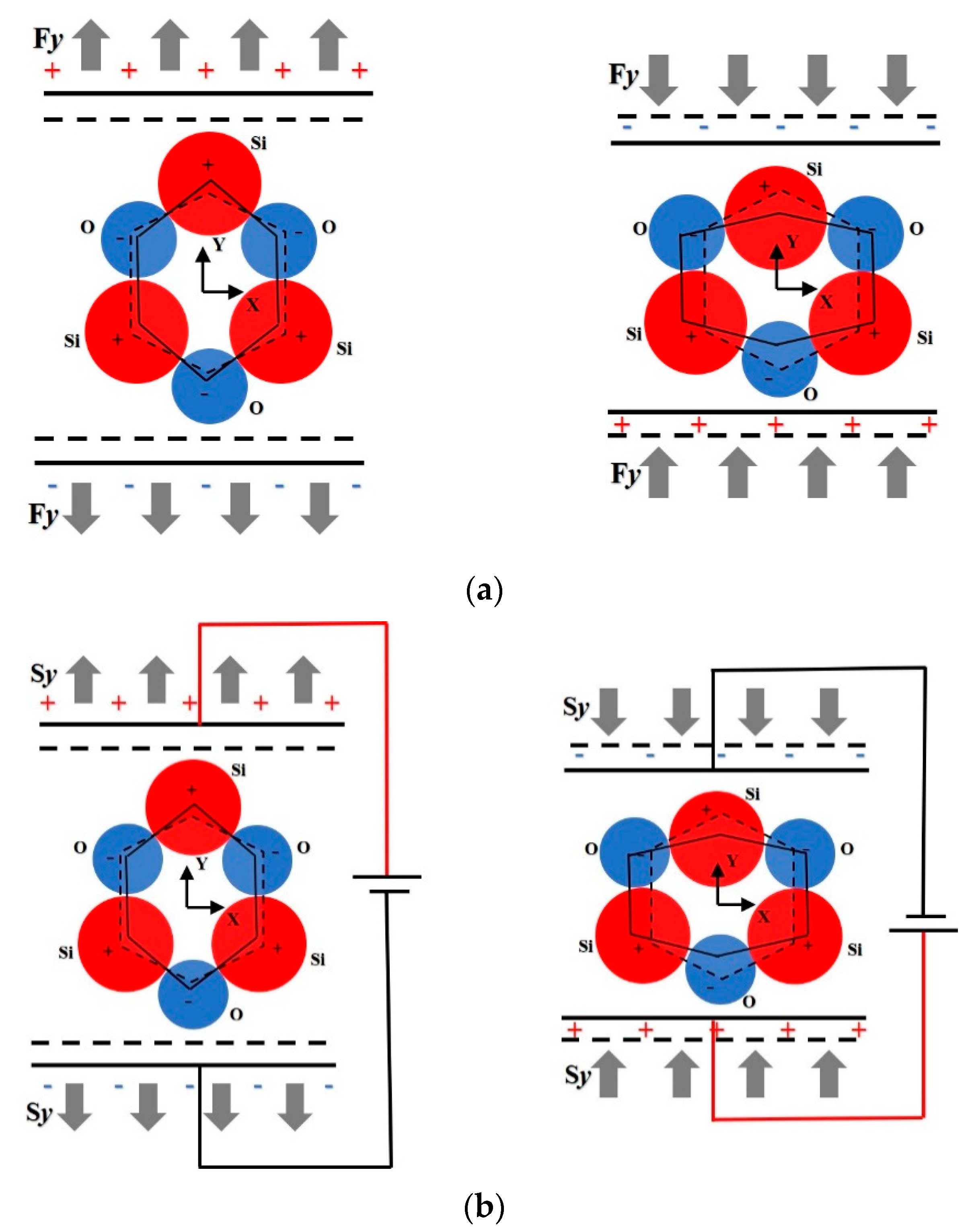 Sensors 21 01112 g001
